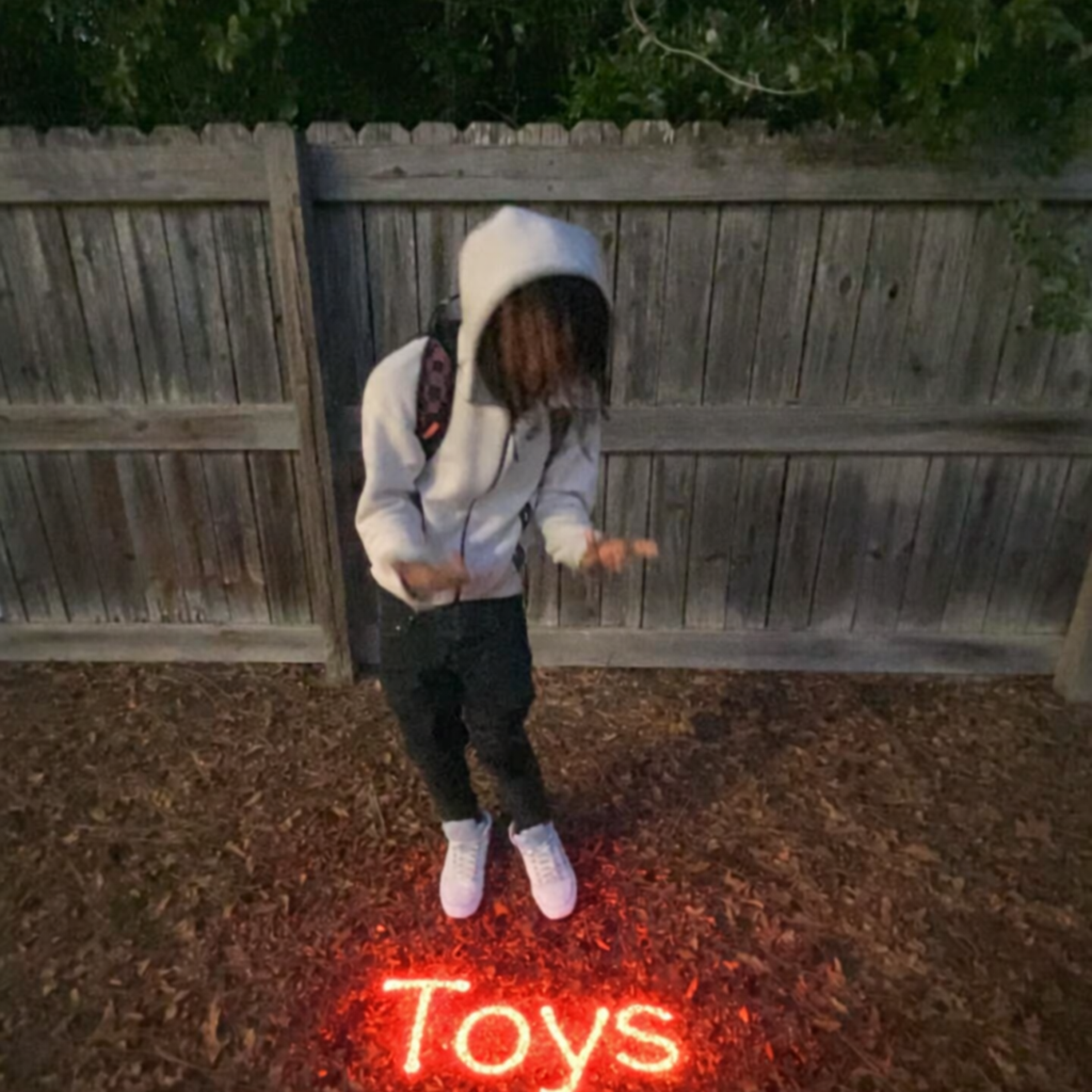 Toysss artwork