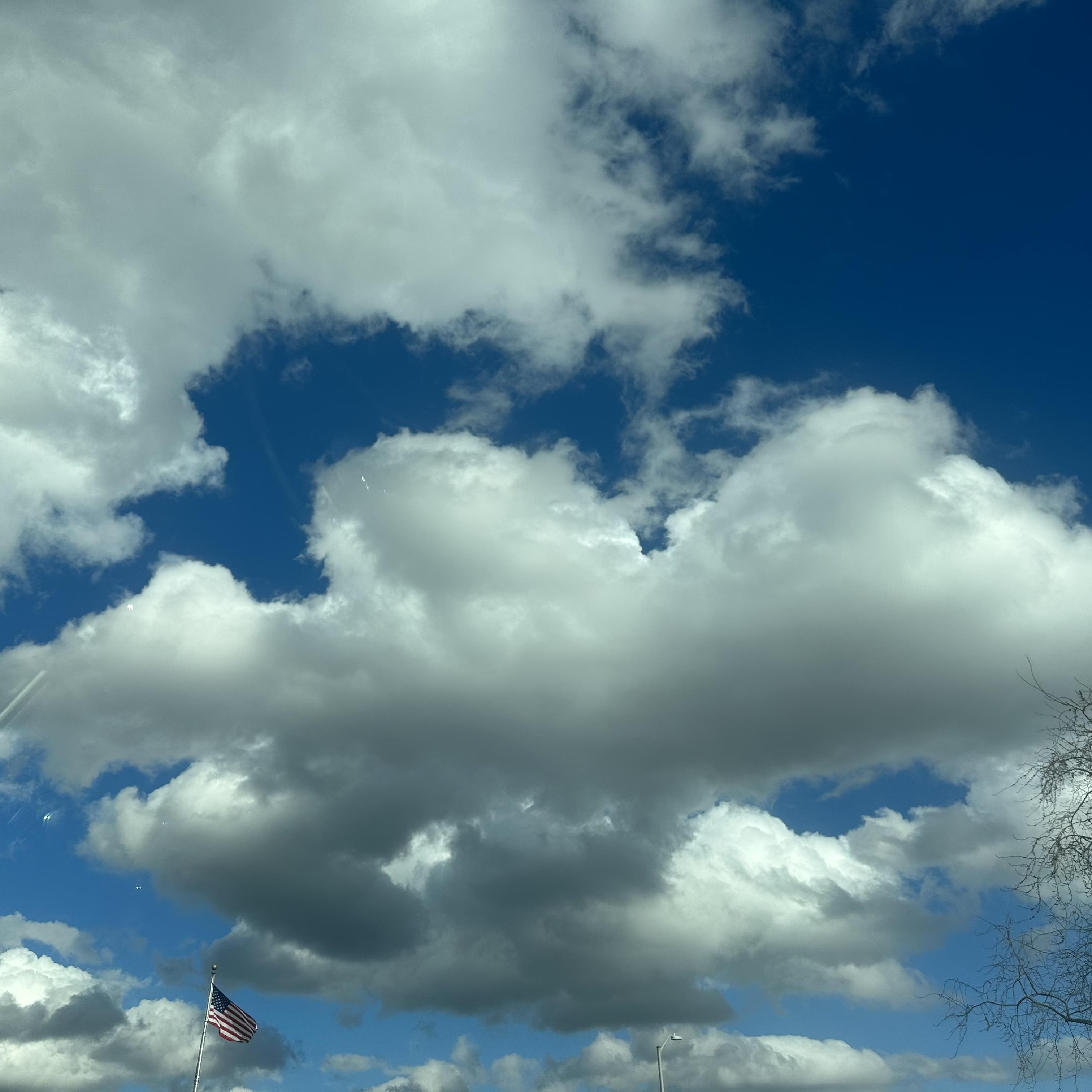 KRULE KAT: Rich Rubella artwork