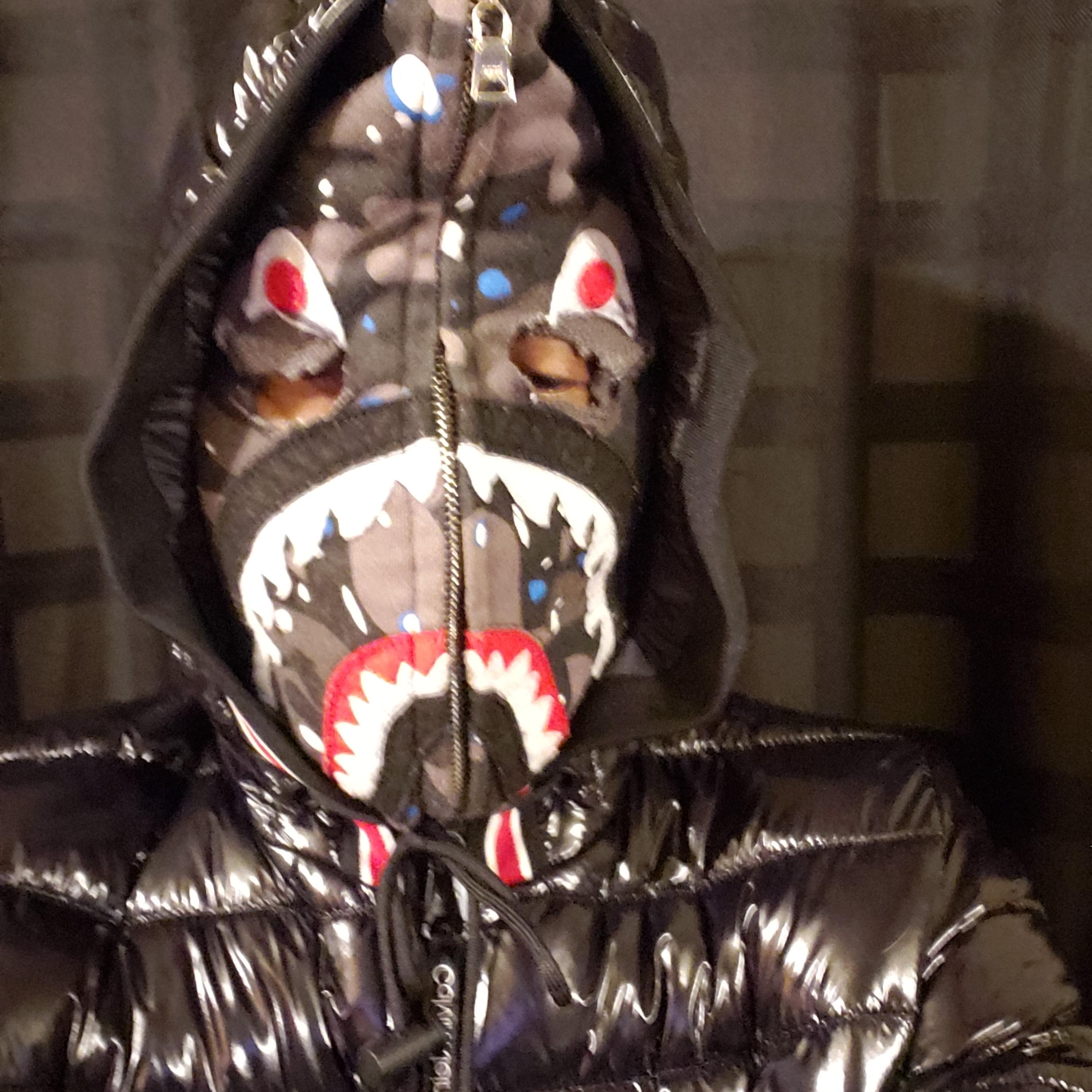 Money and power artwork