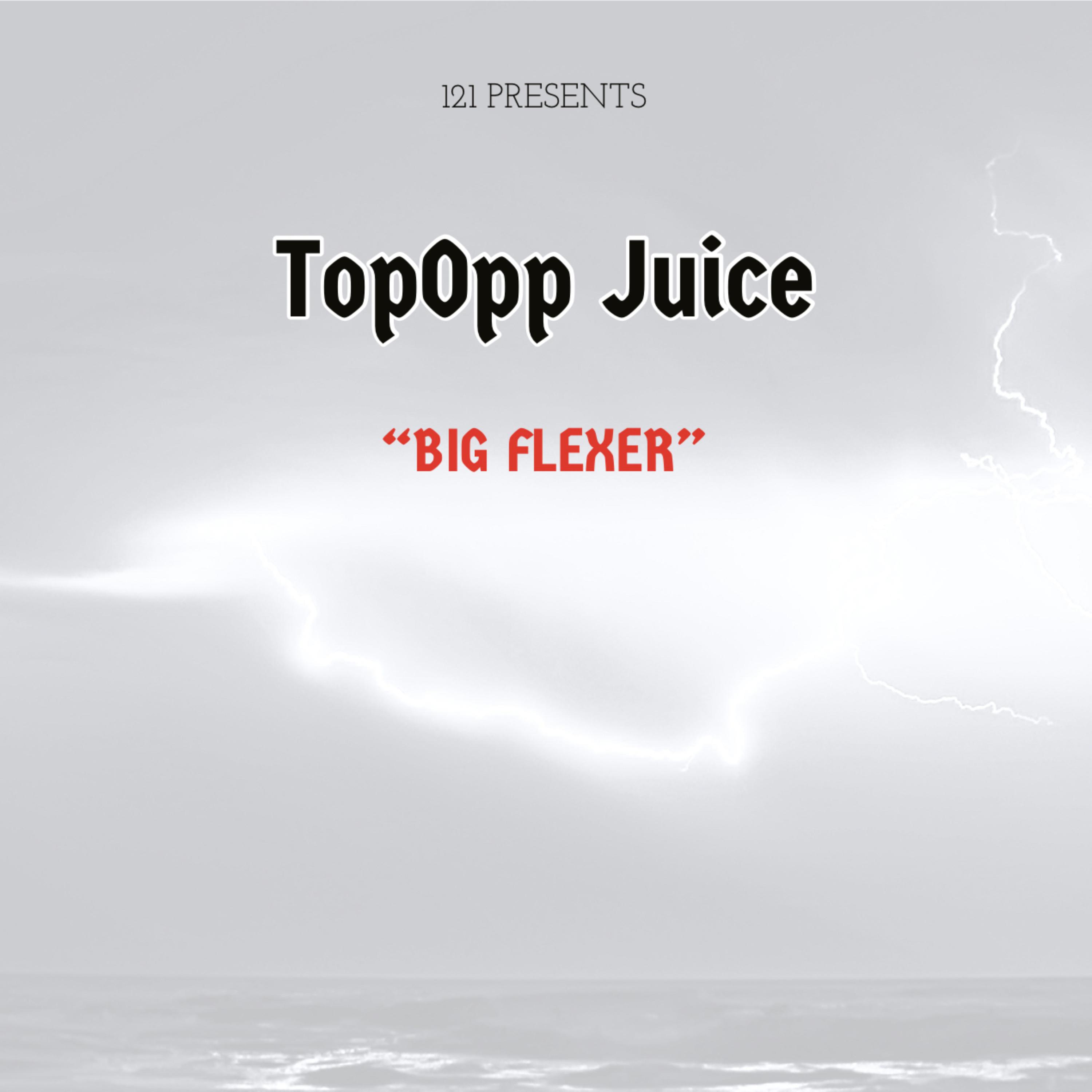 BIG FLEXER artwork