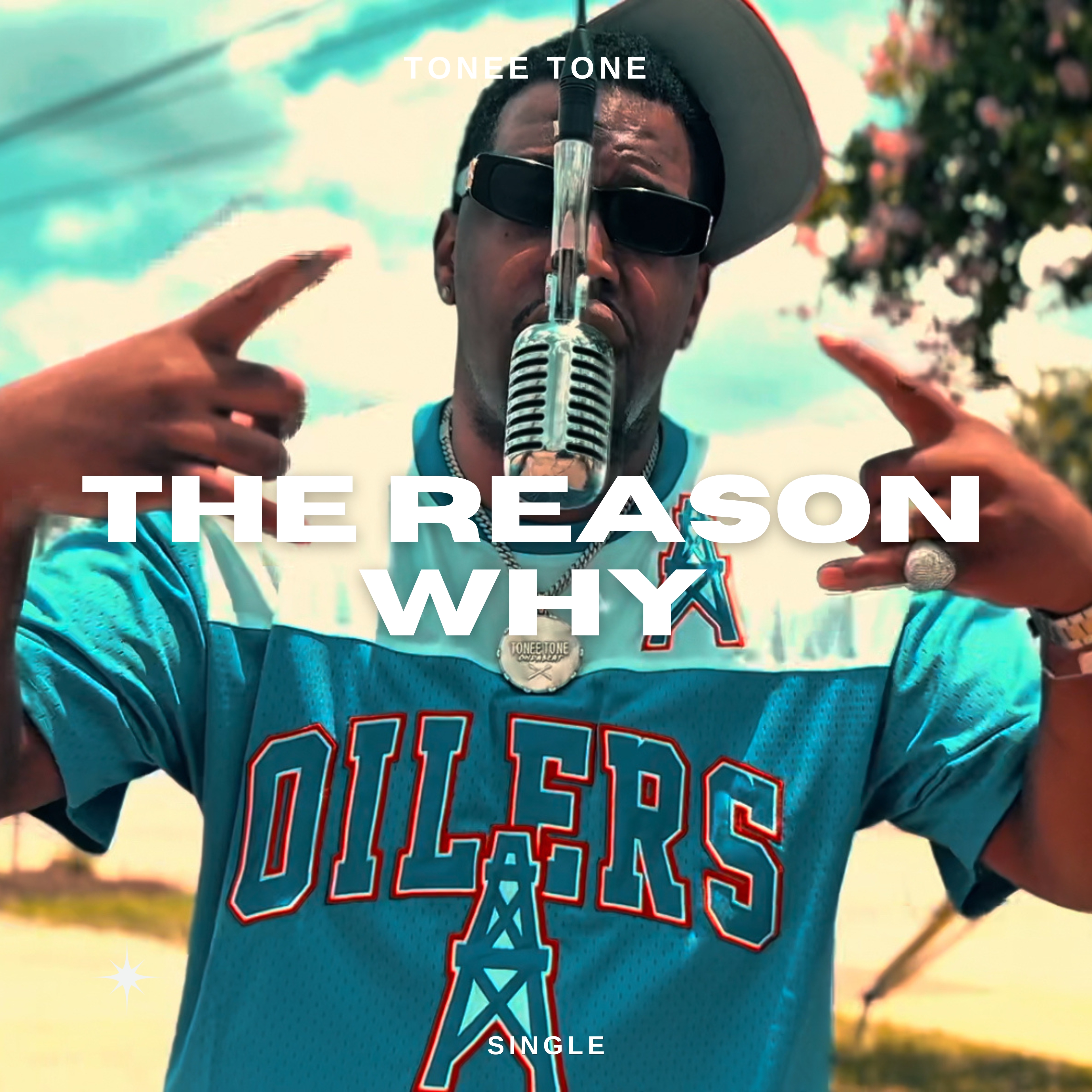 The Reason Why artwork