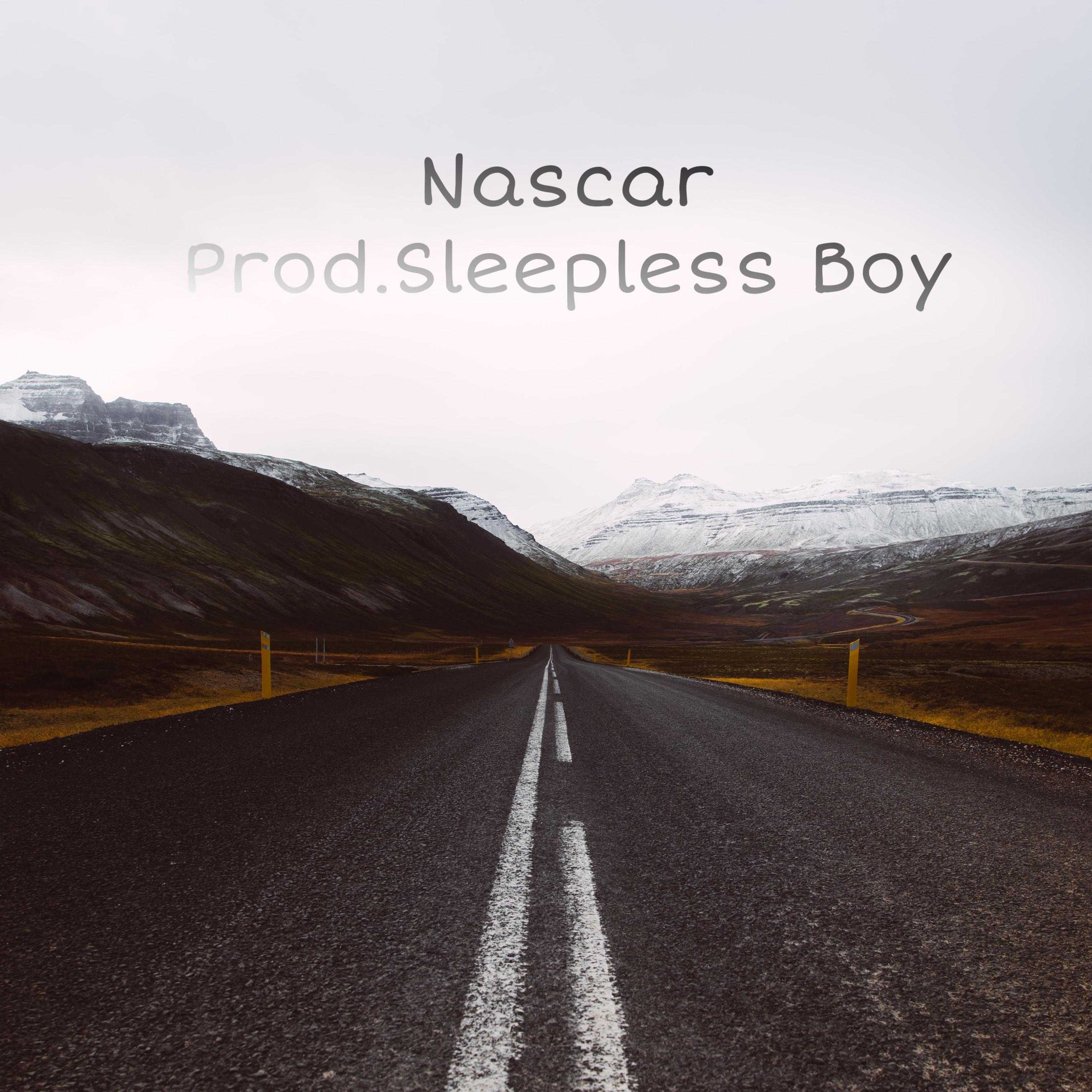 Nascar artwork
