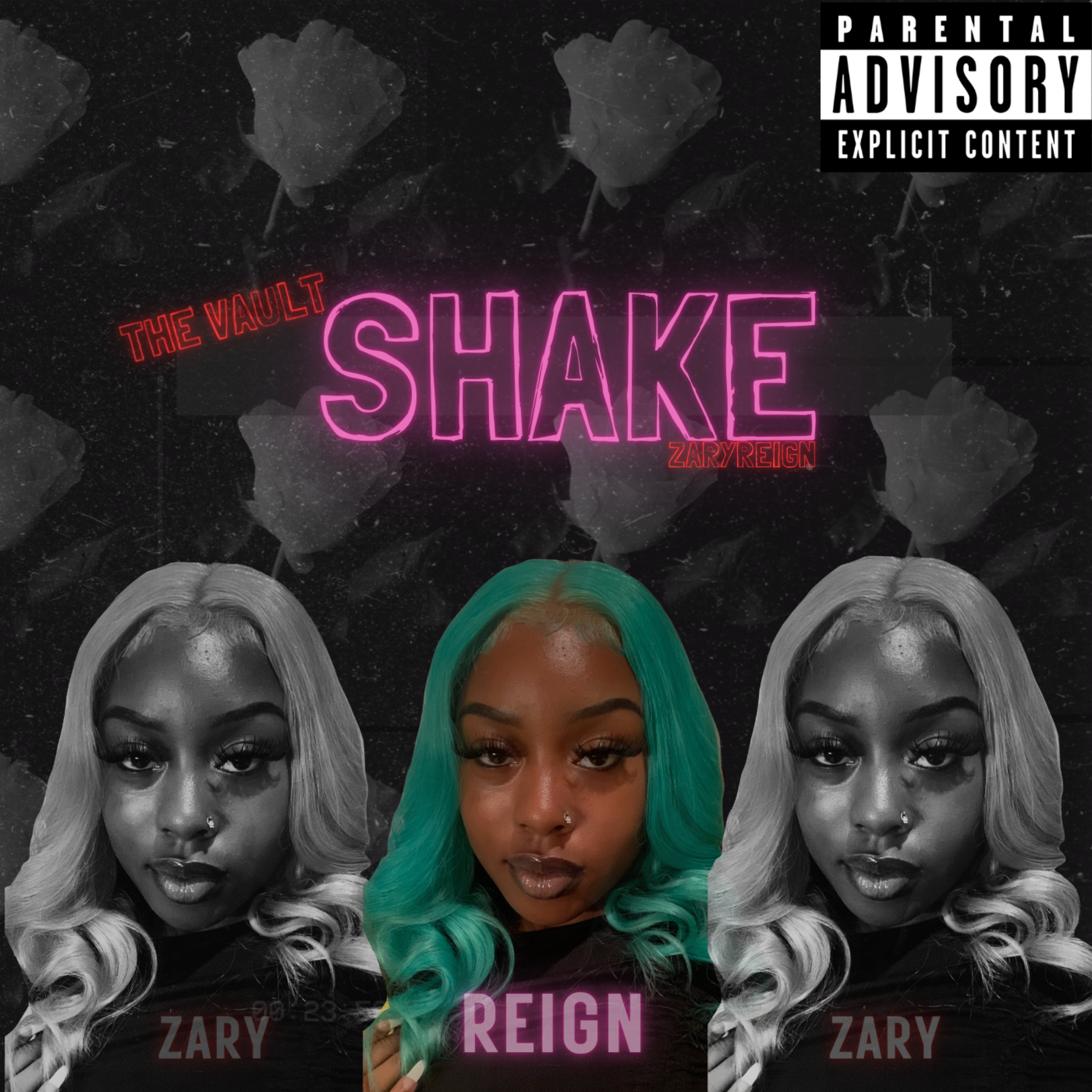 Shake artwork