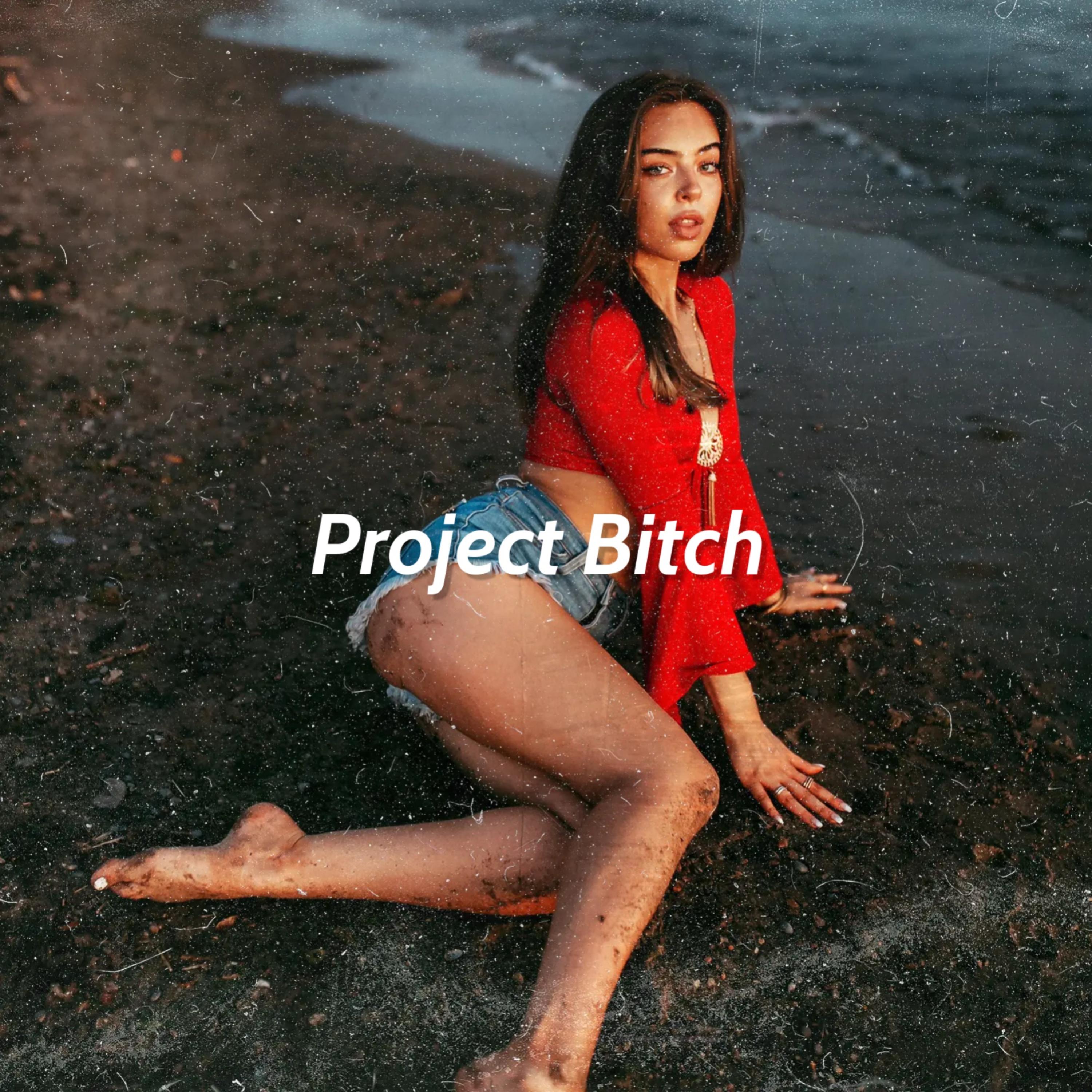 Project Bitch artwork
