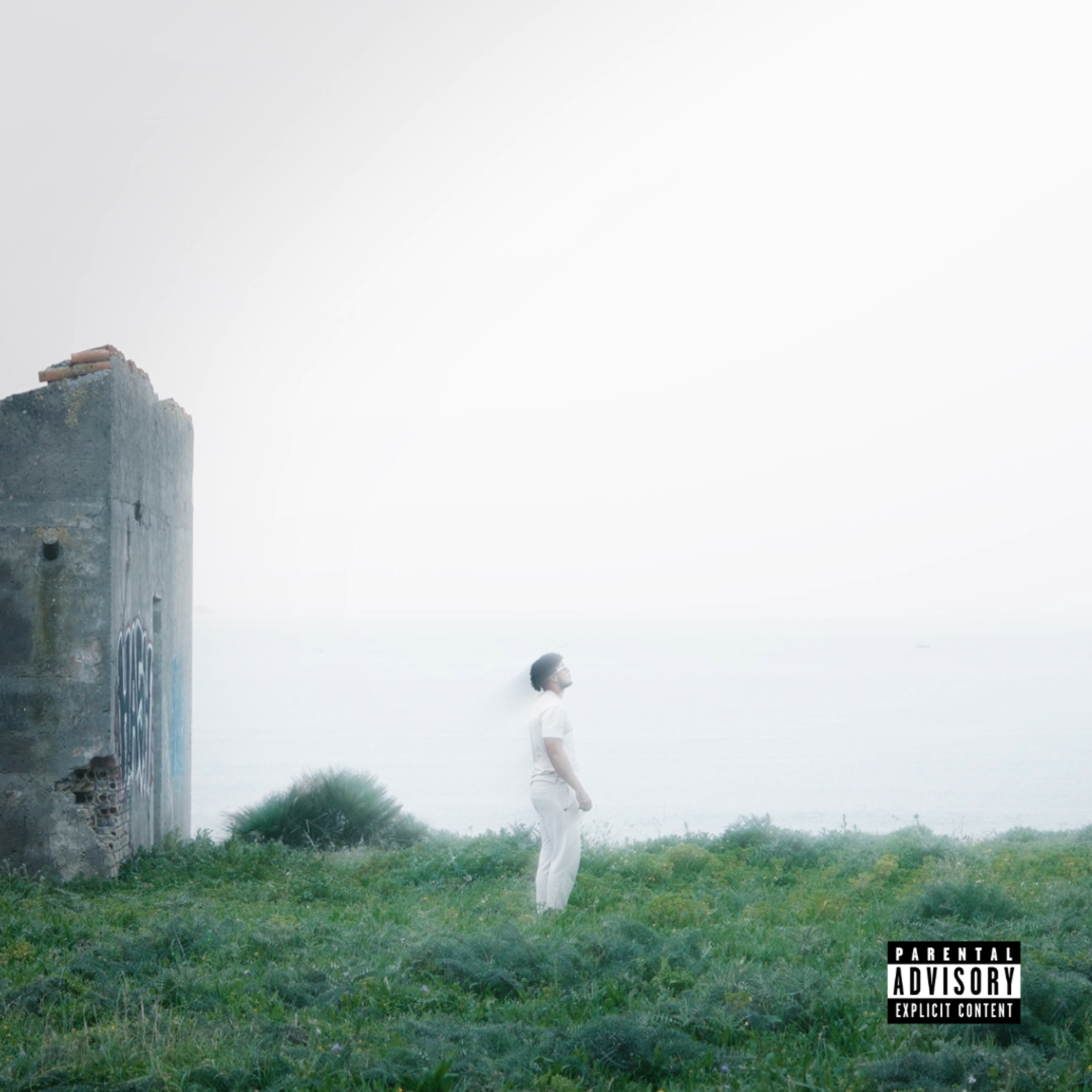 Dónde Está La Luz artwork