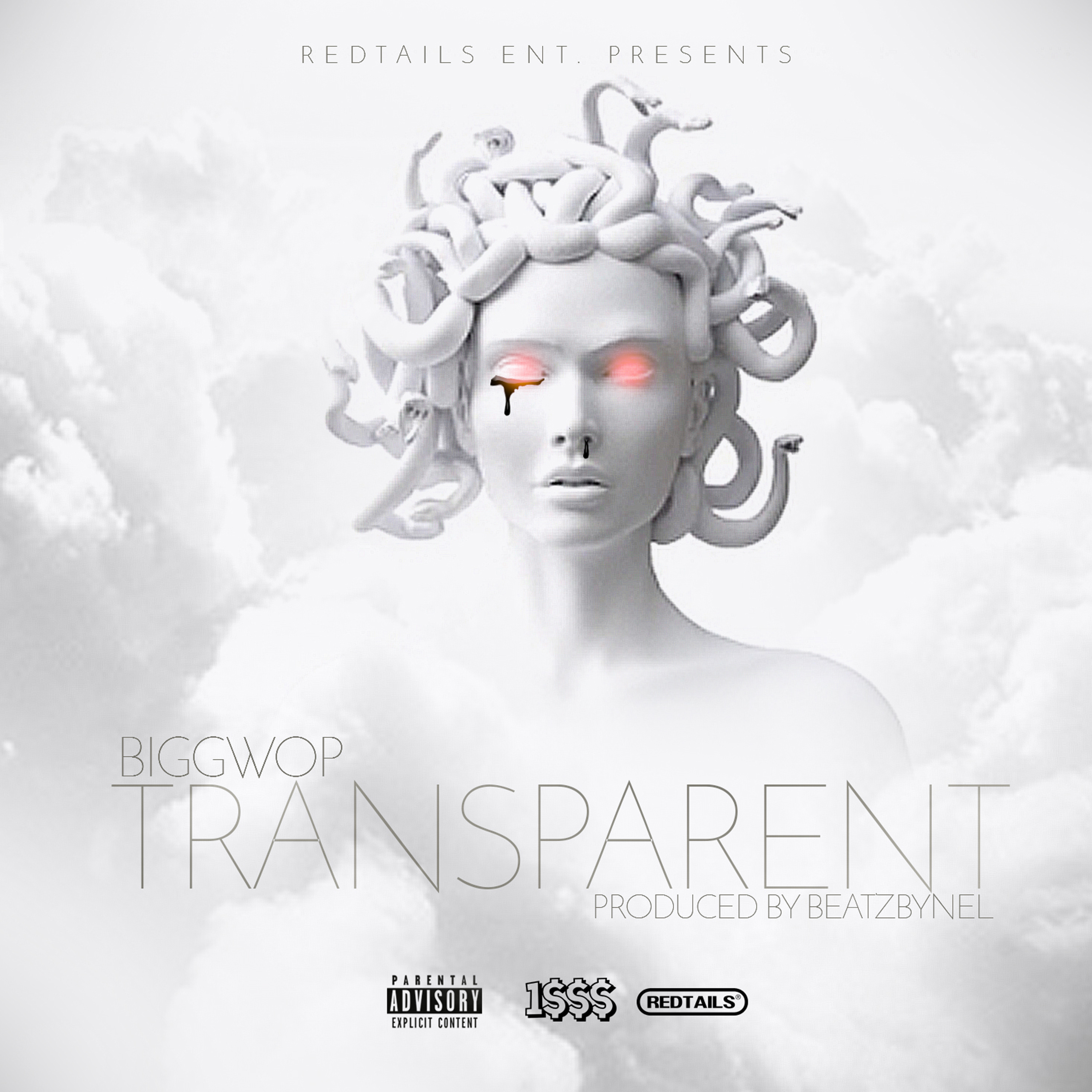 Transparent artwork