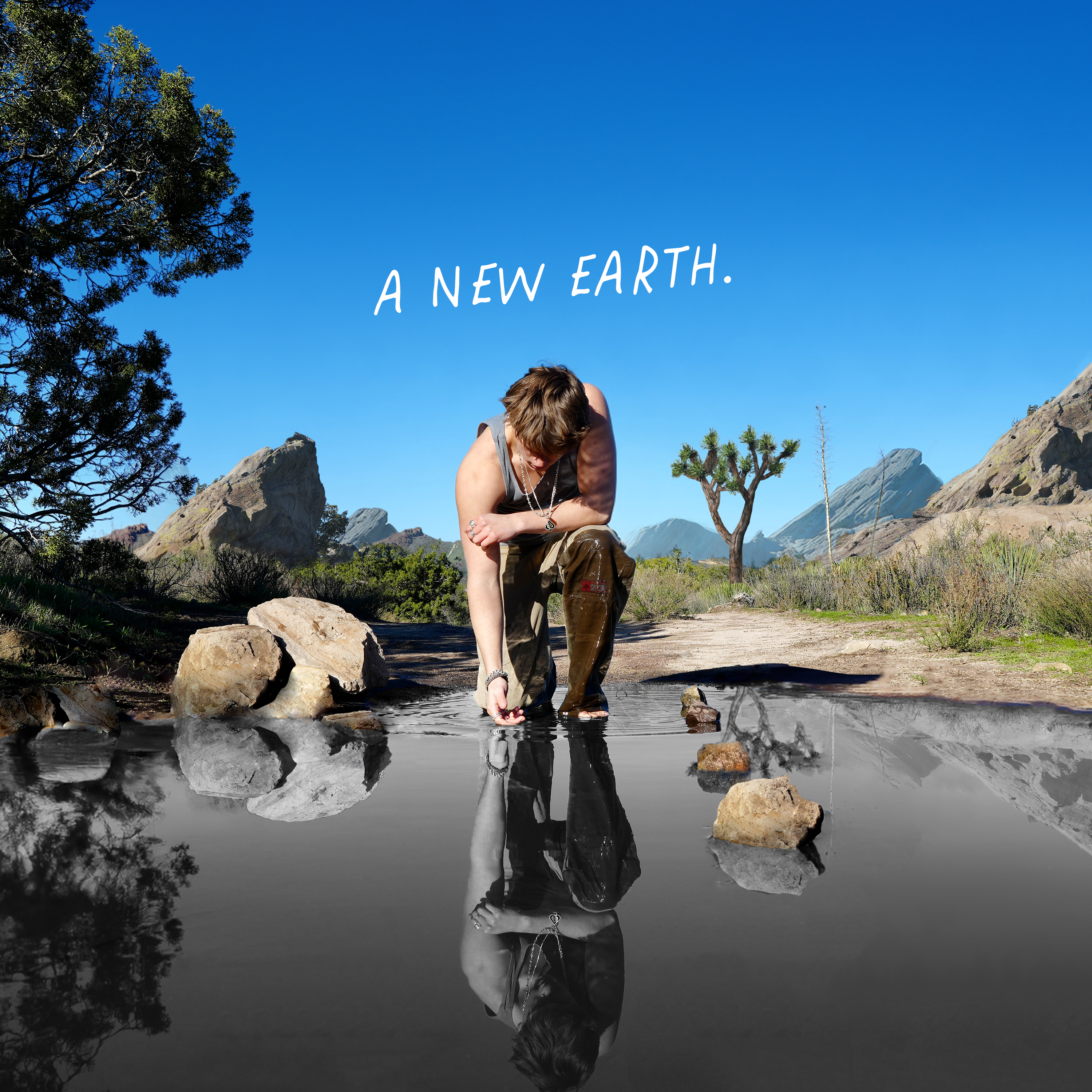 A NEW EARTH artwork