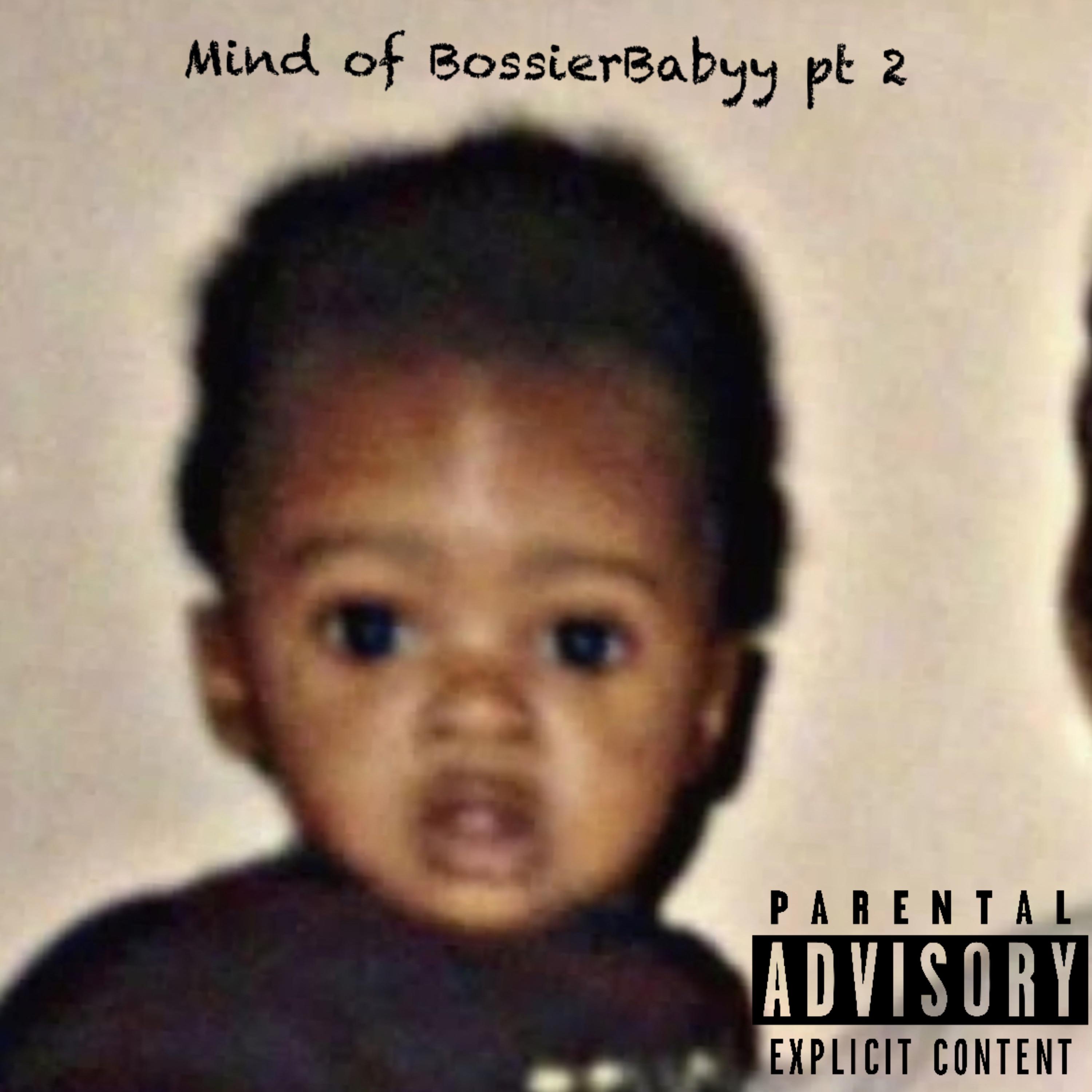 Mind Of Bossier Baby Pt 2 artwork