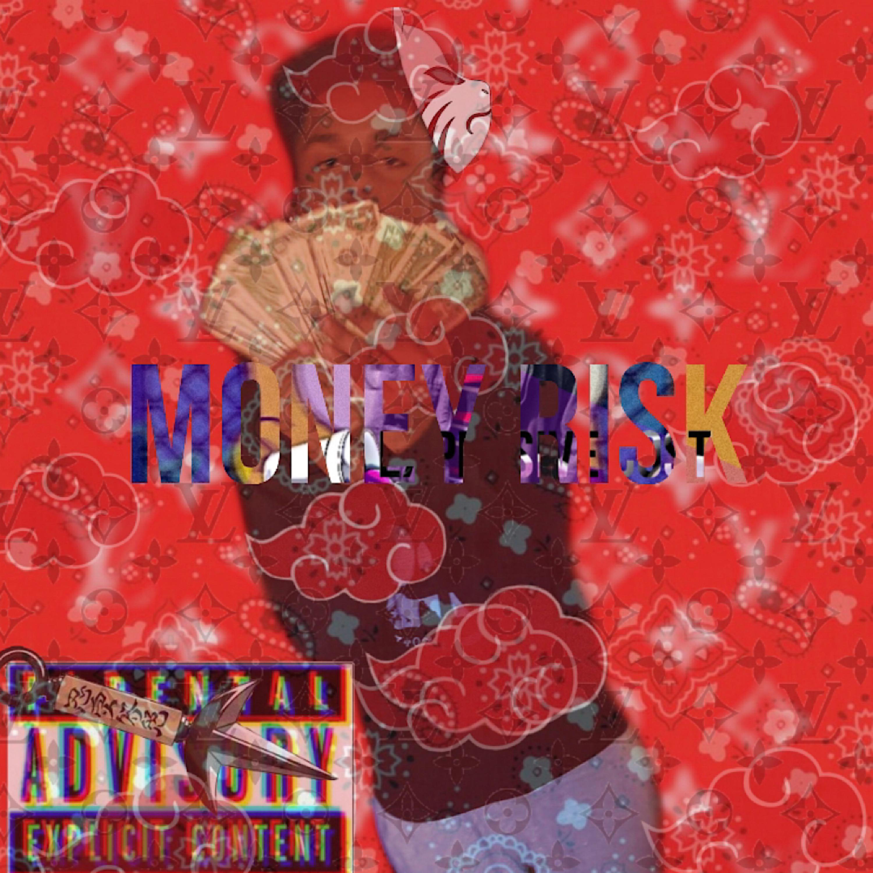 Money Risk artwork