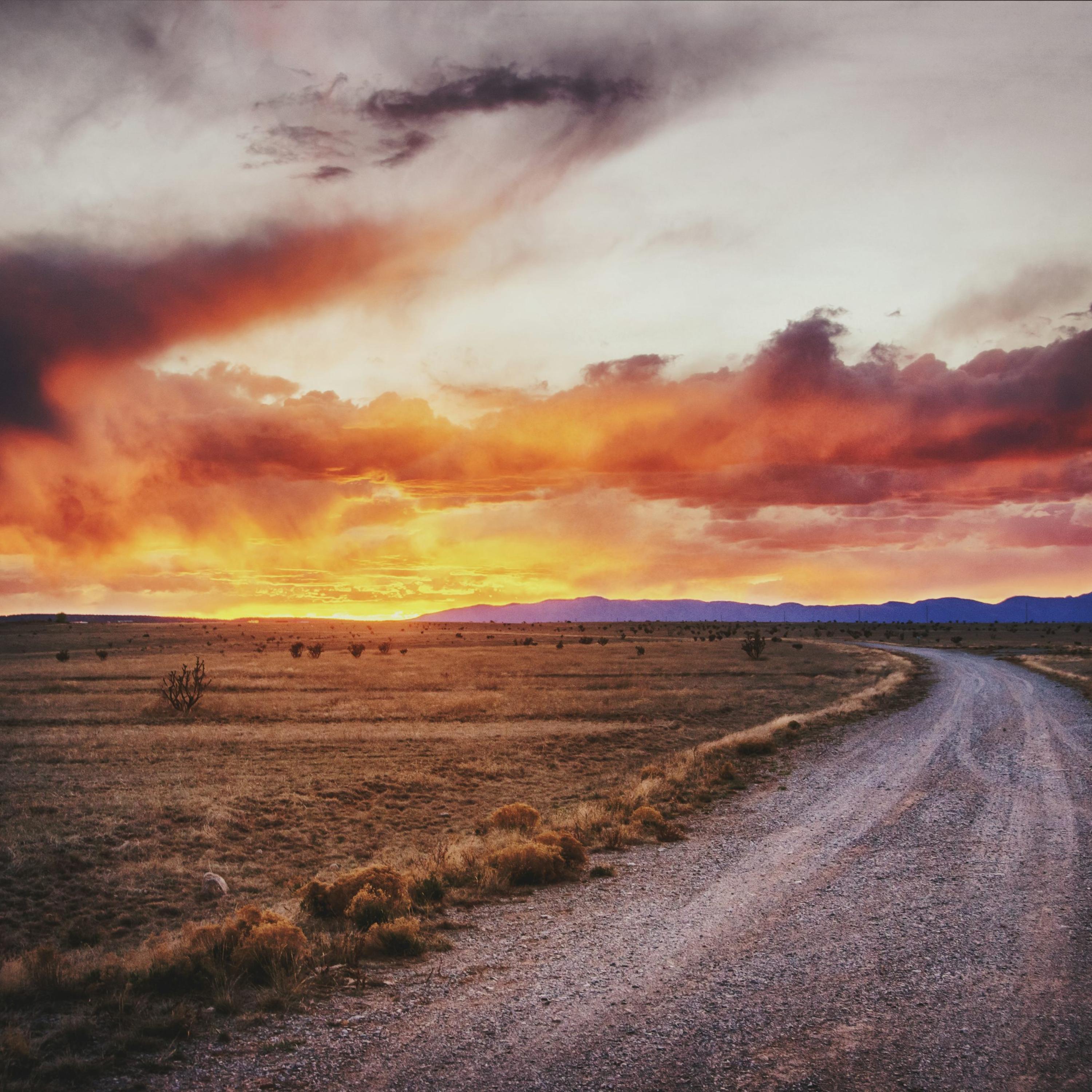 Country Dirt Road artwork