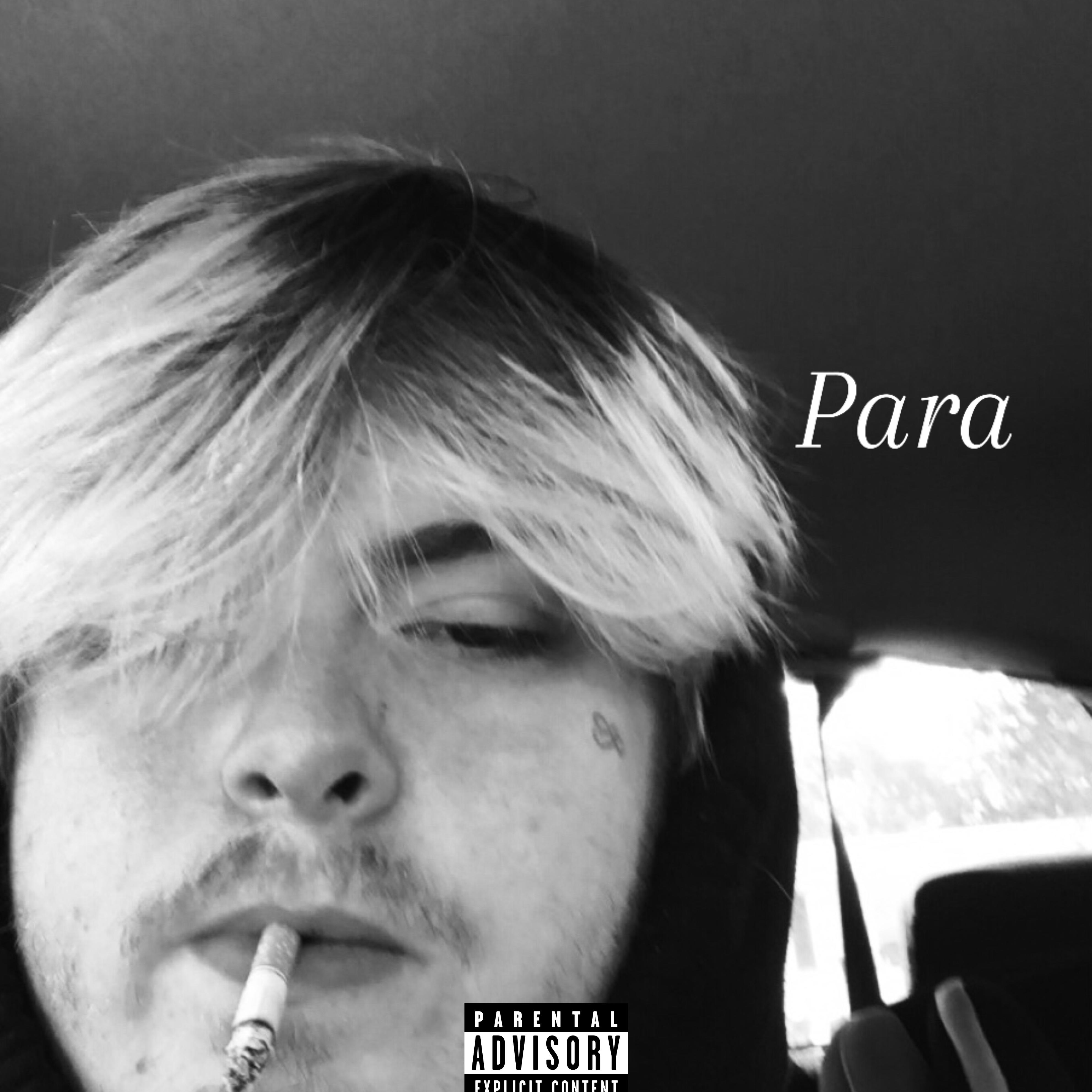 para artwork