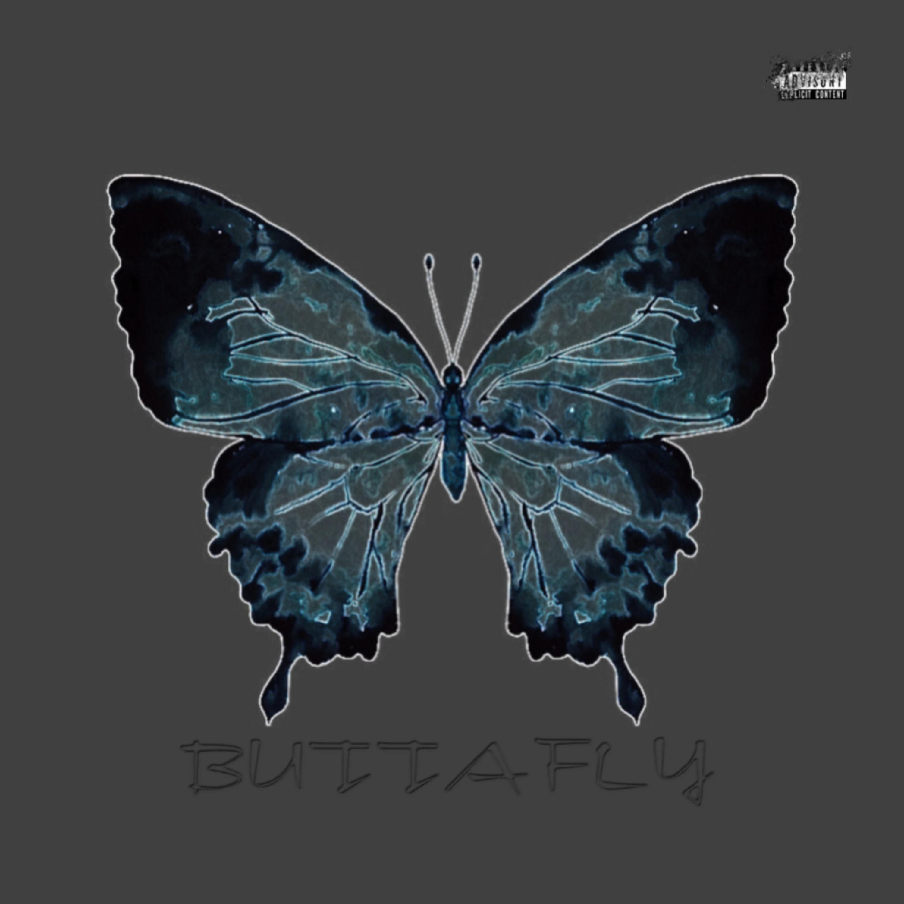 Buttafly artwork
