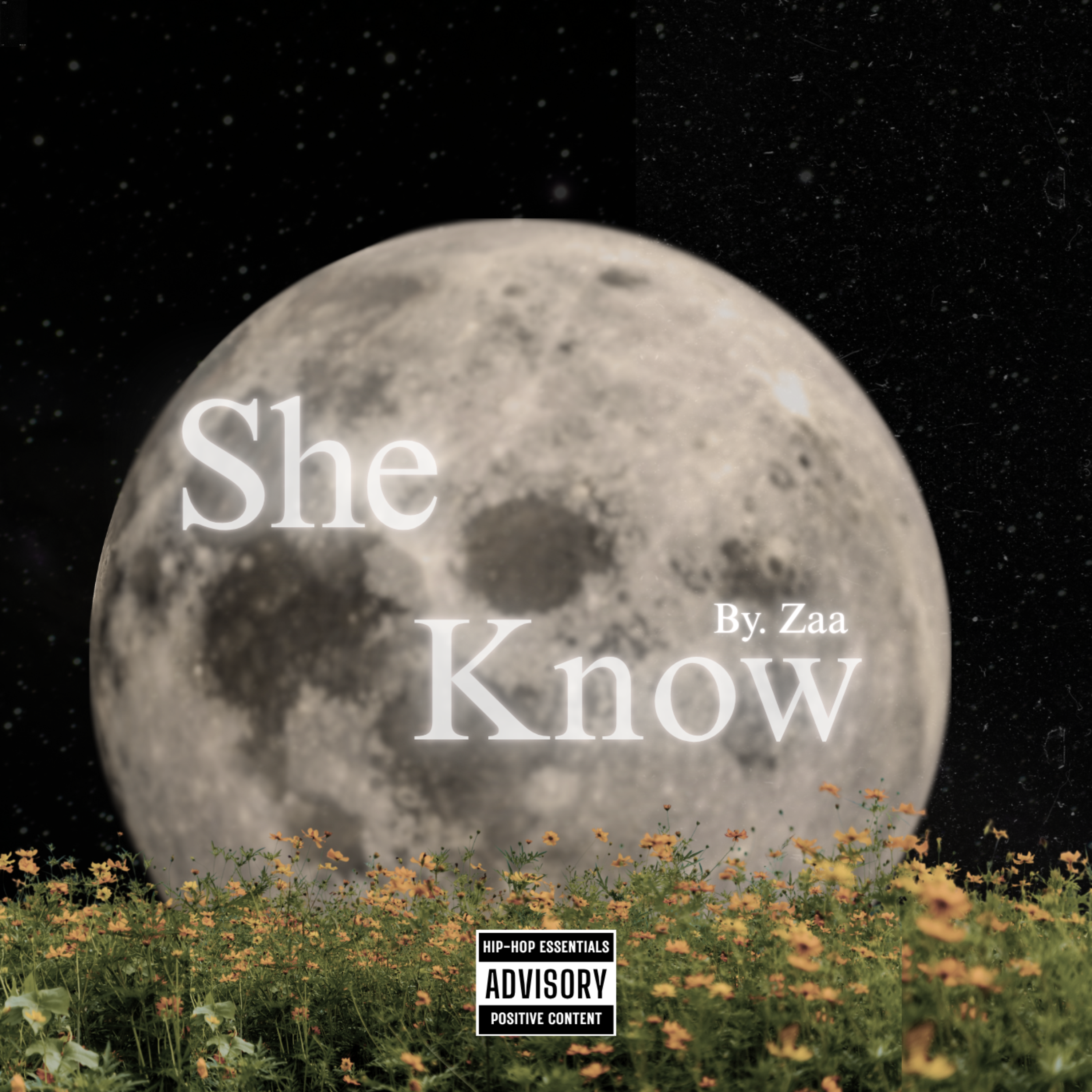 She Know by zaa cover art