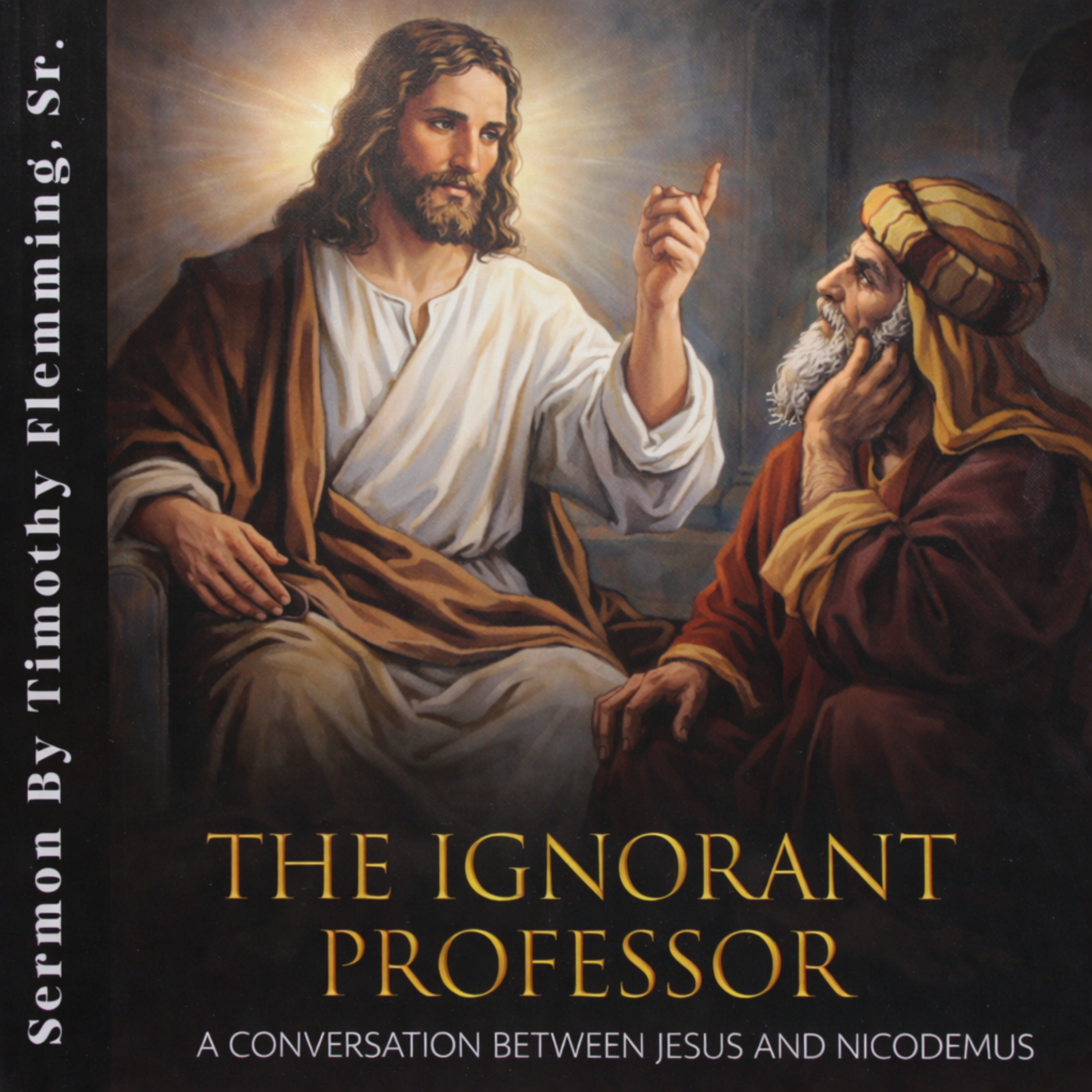 The Ignorant Professor artwork