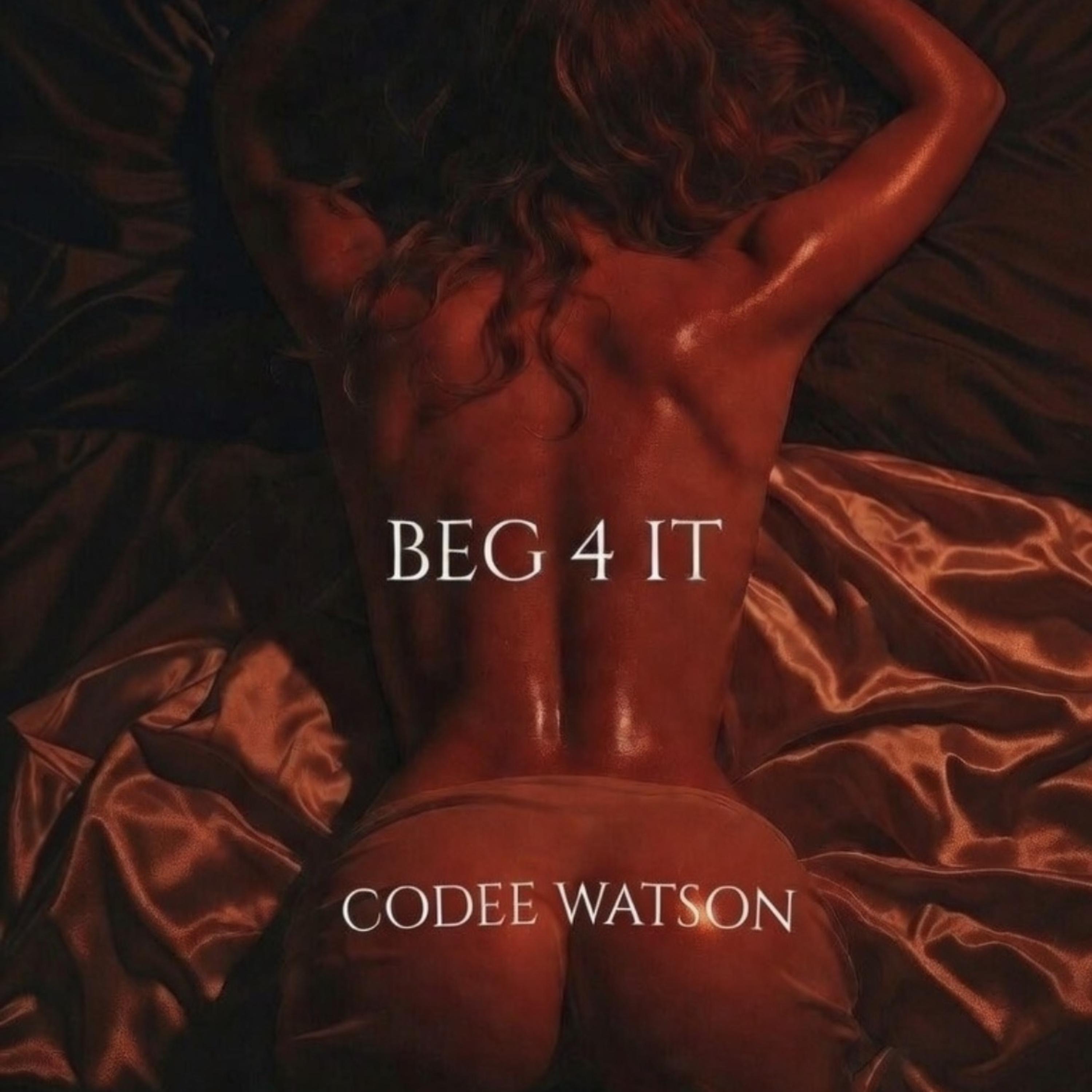 BEG 4 IT artwork