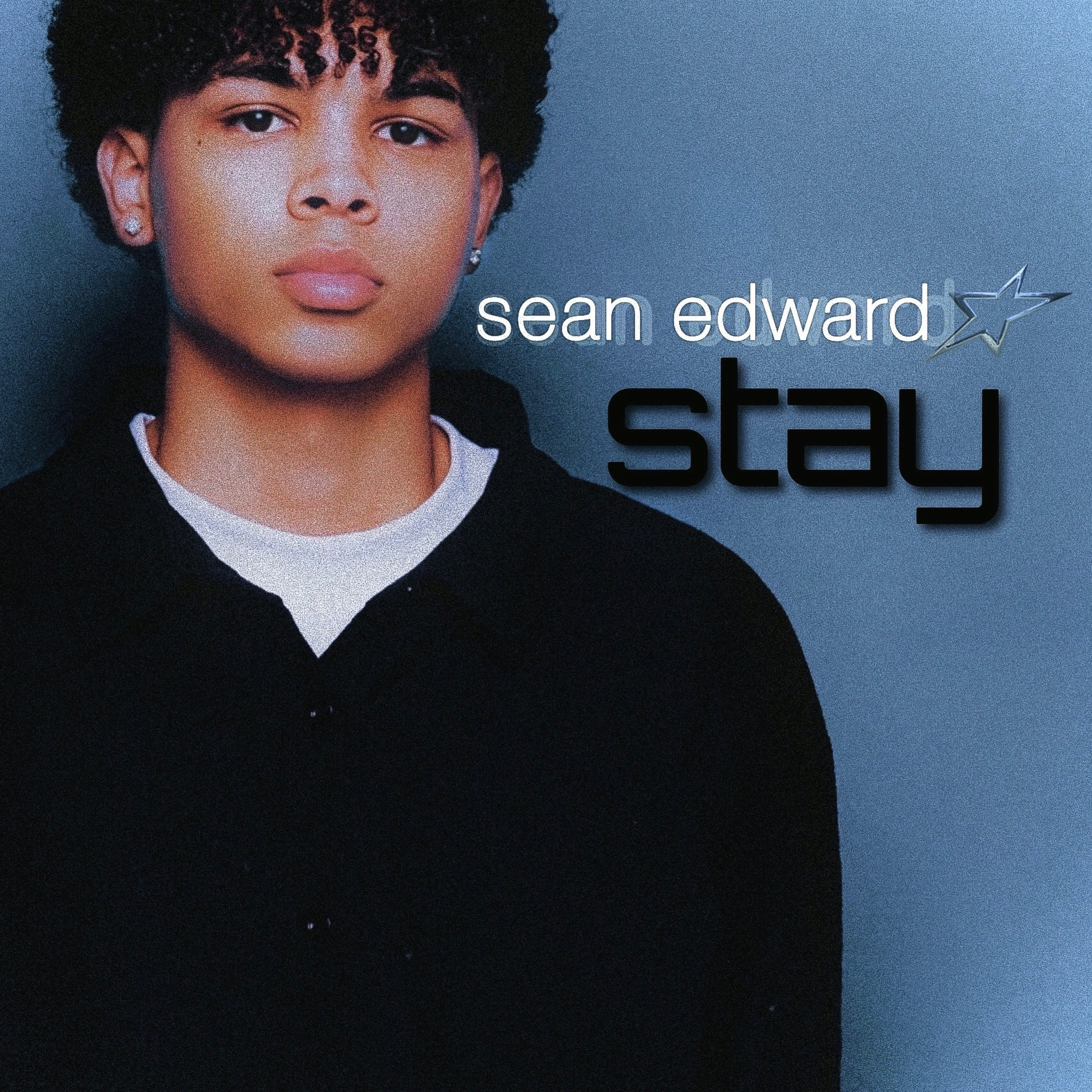 Stay artwork