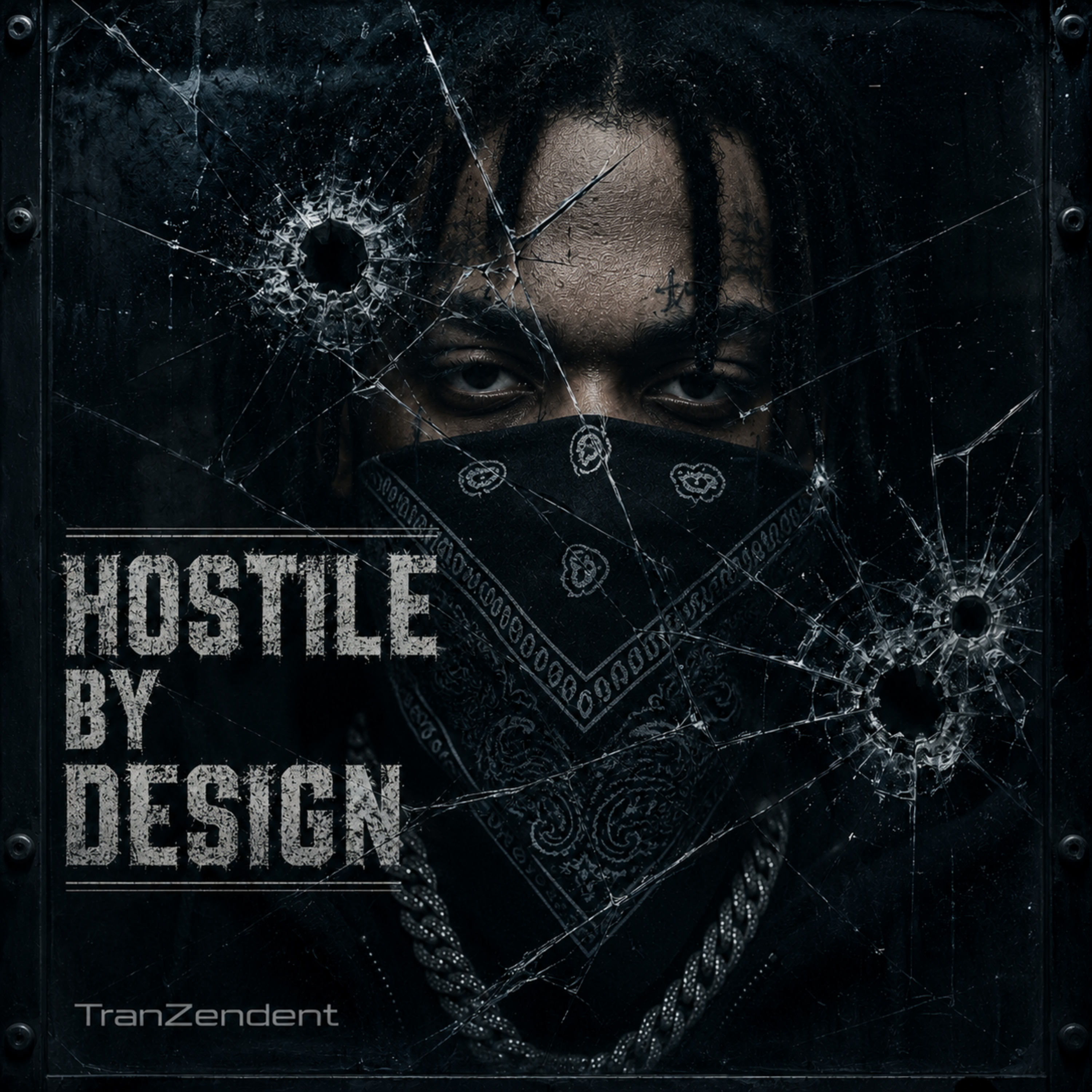 Hostile by Design by TranZendent cover art