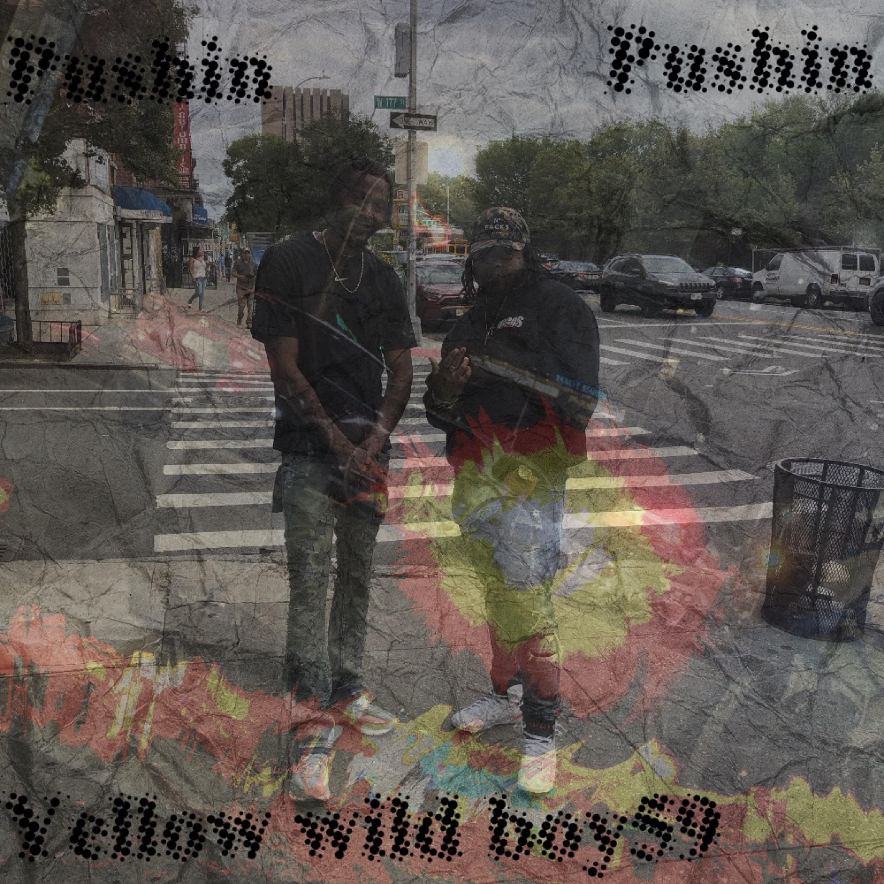 Pushin artwork