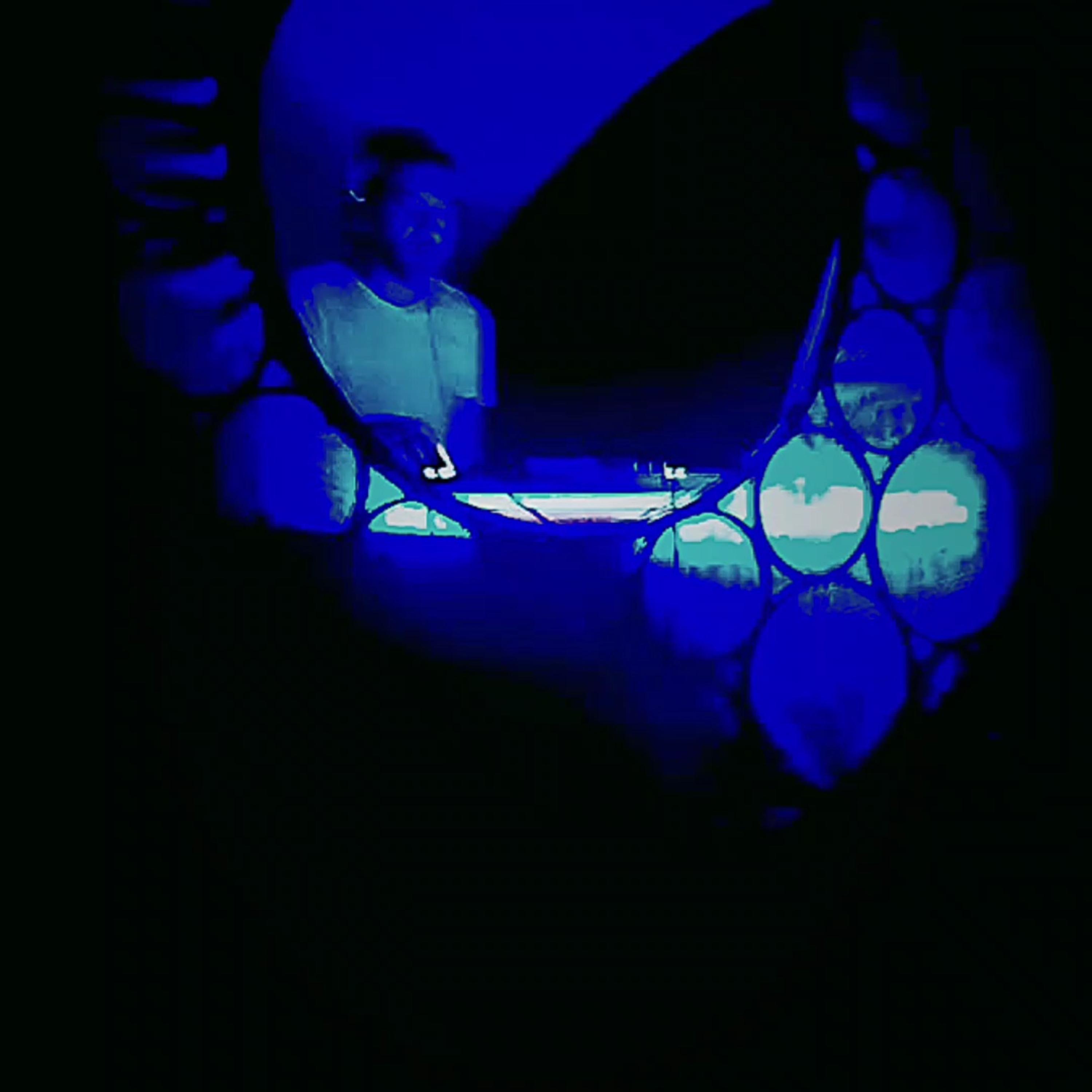 Levita artwork