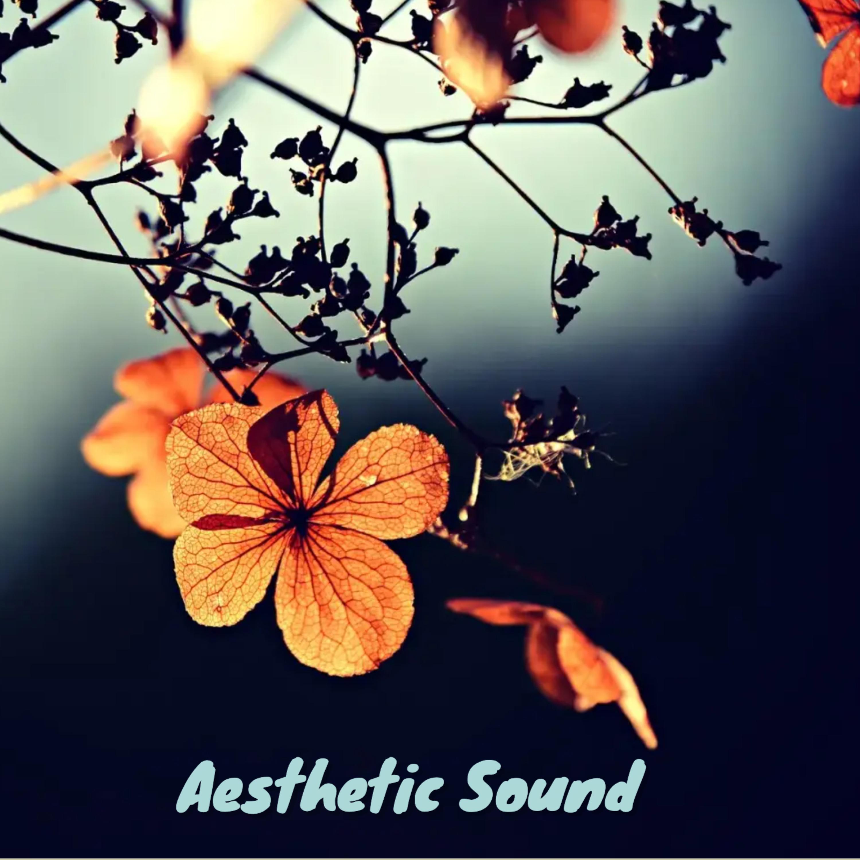 Aesthetic Sound artwork