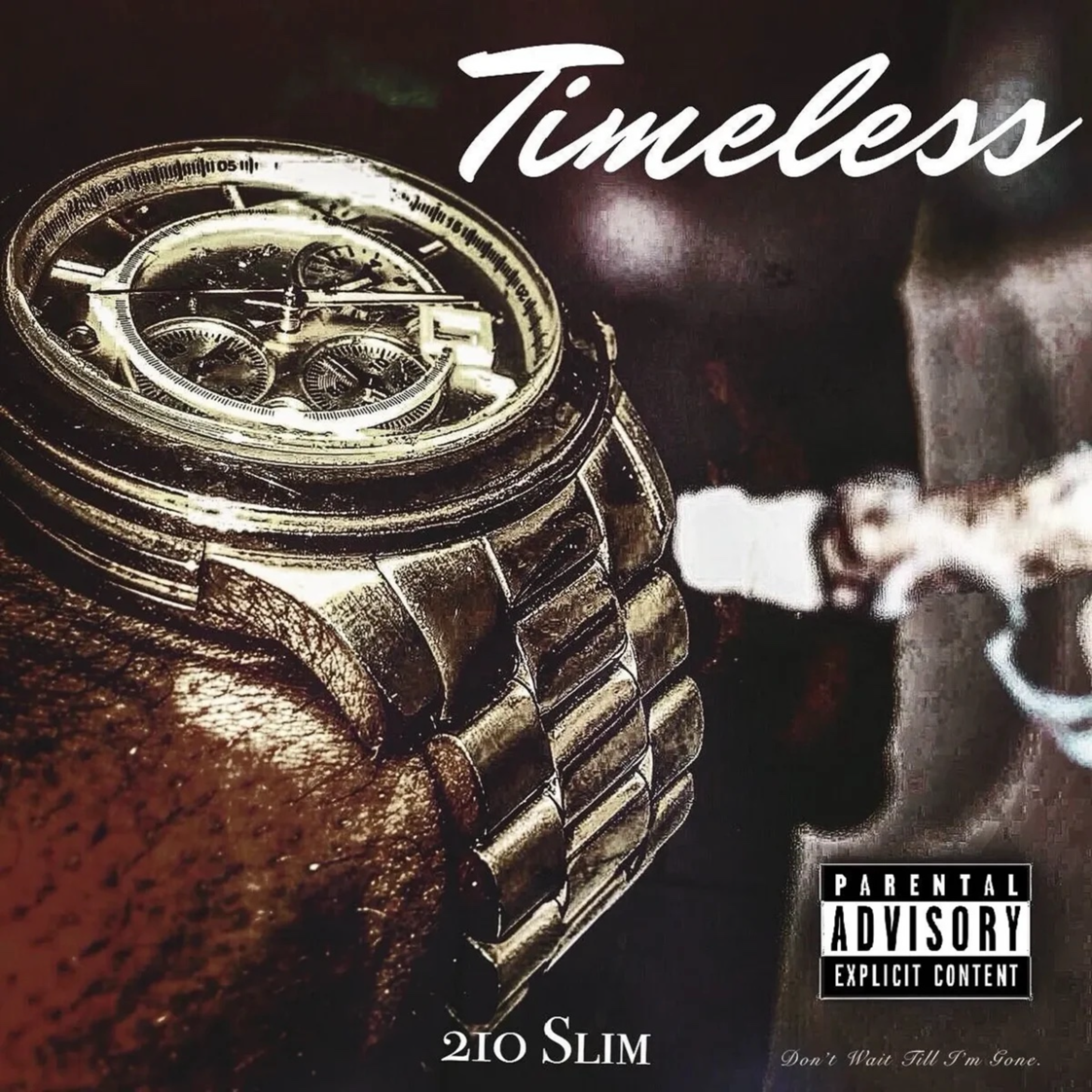 Timeless by 210 Slim cover art