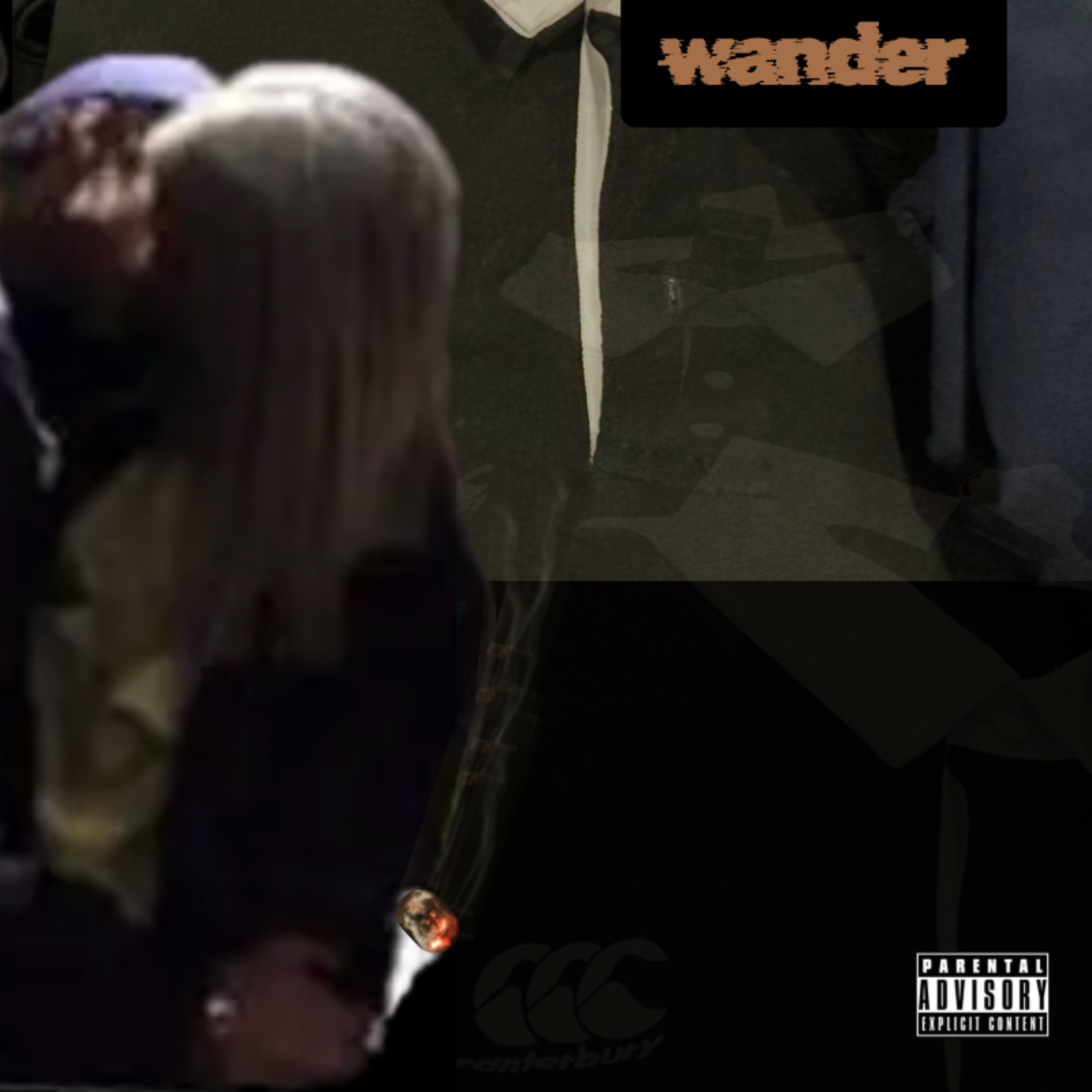 Wander artwork