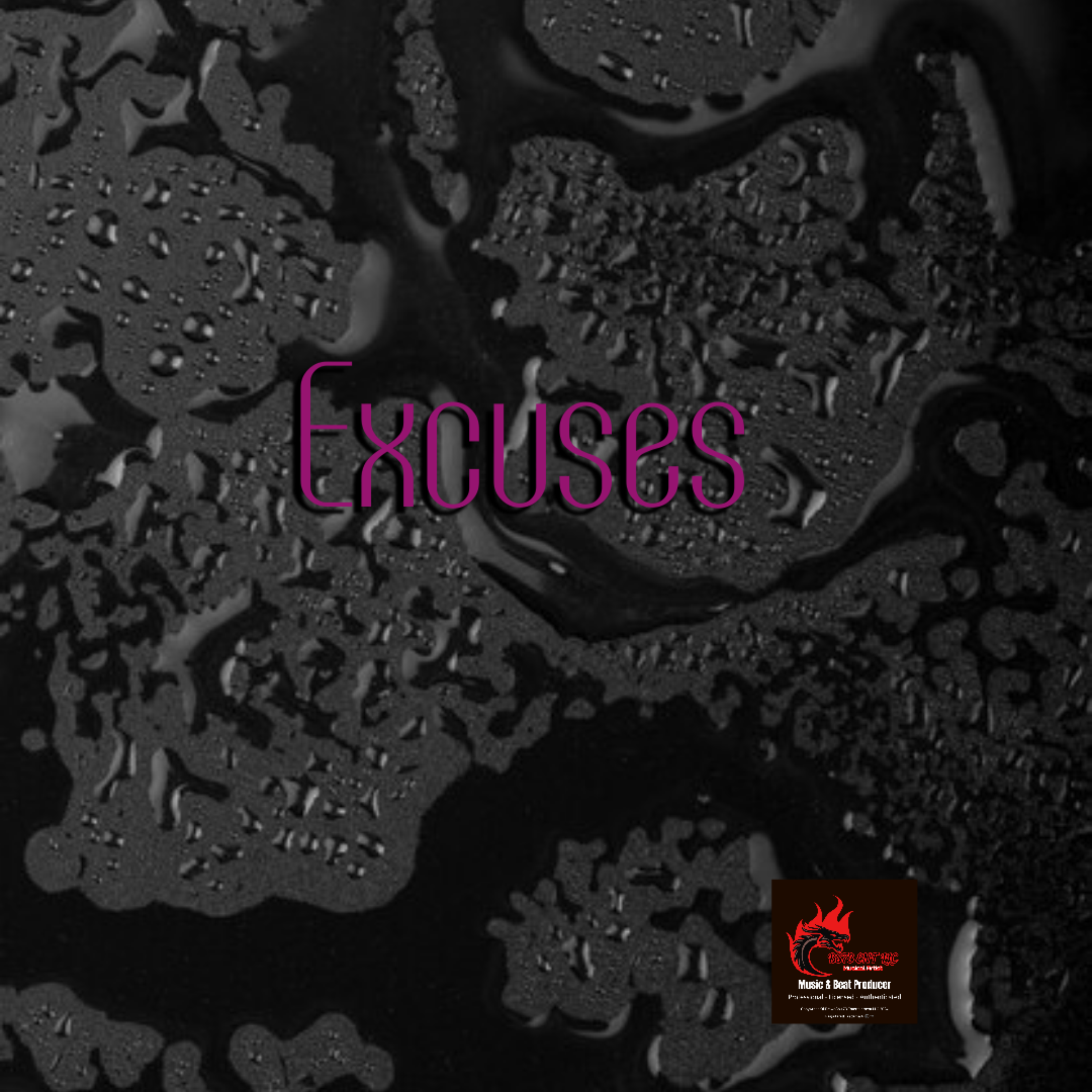 Excuses artwork