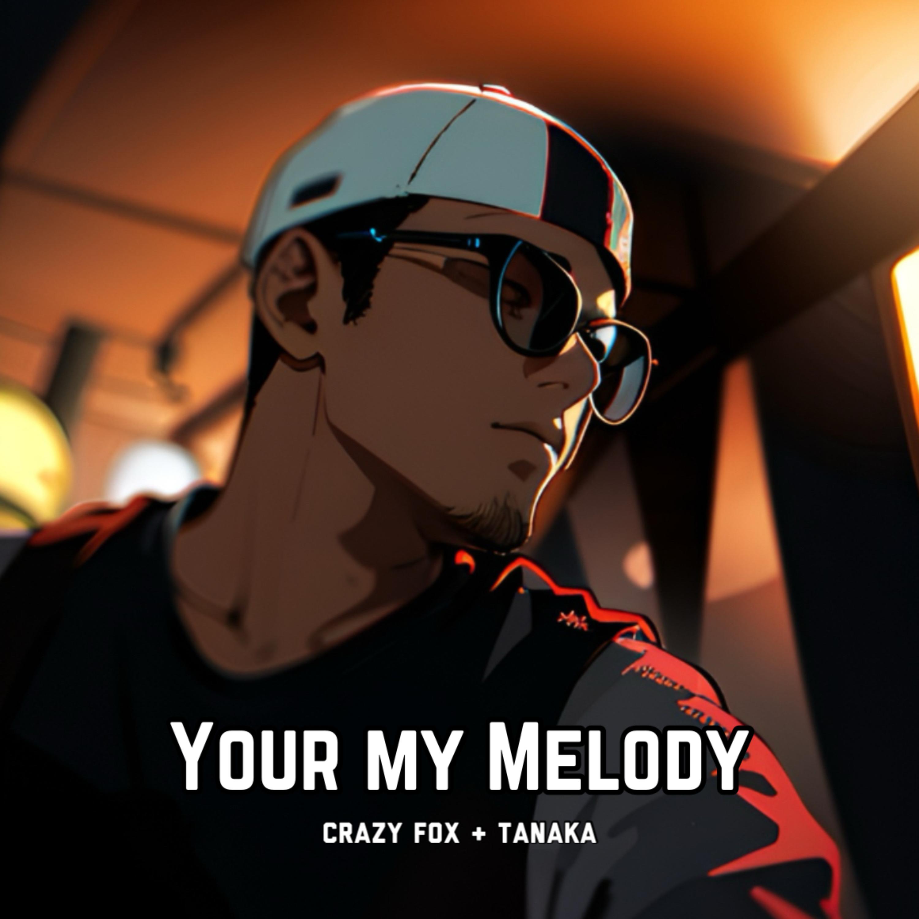 Your My Melody artwork