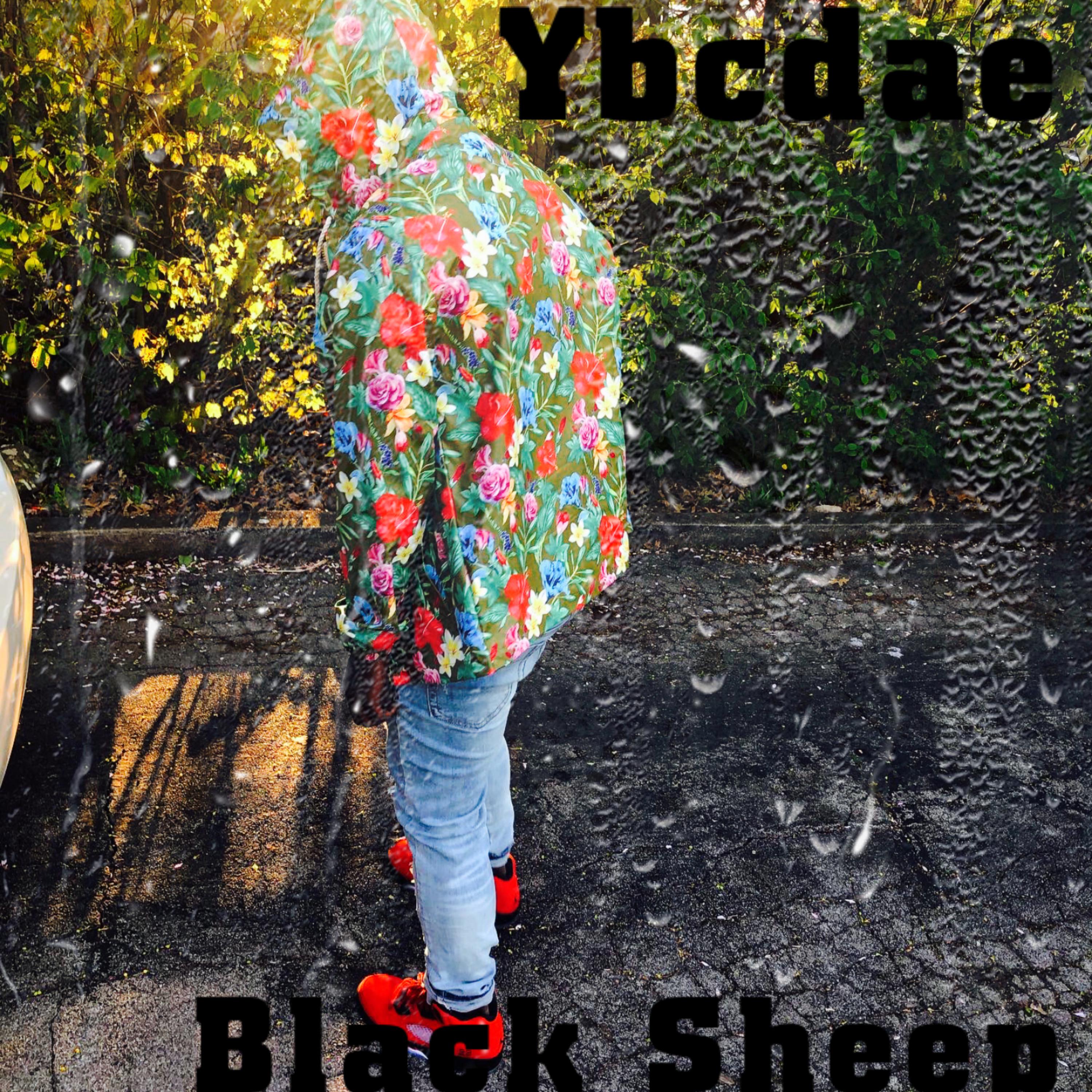 Black Sheep artwork