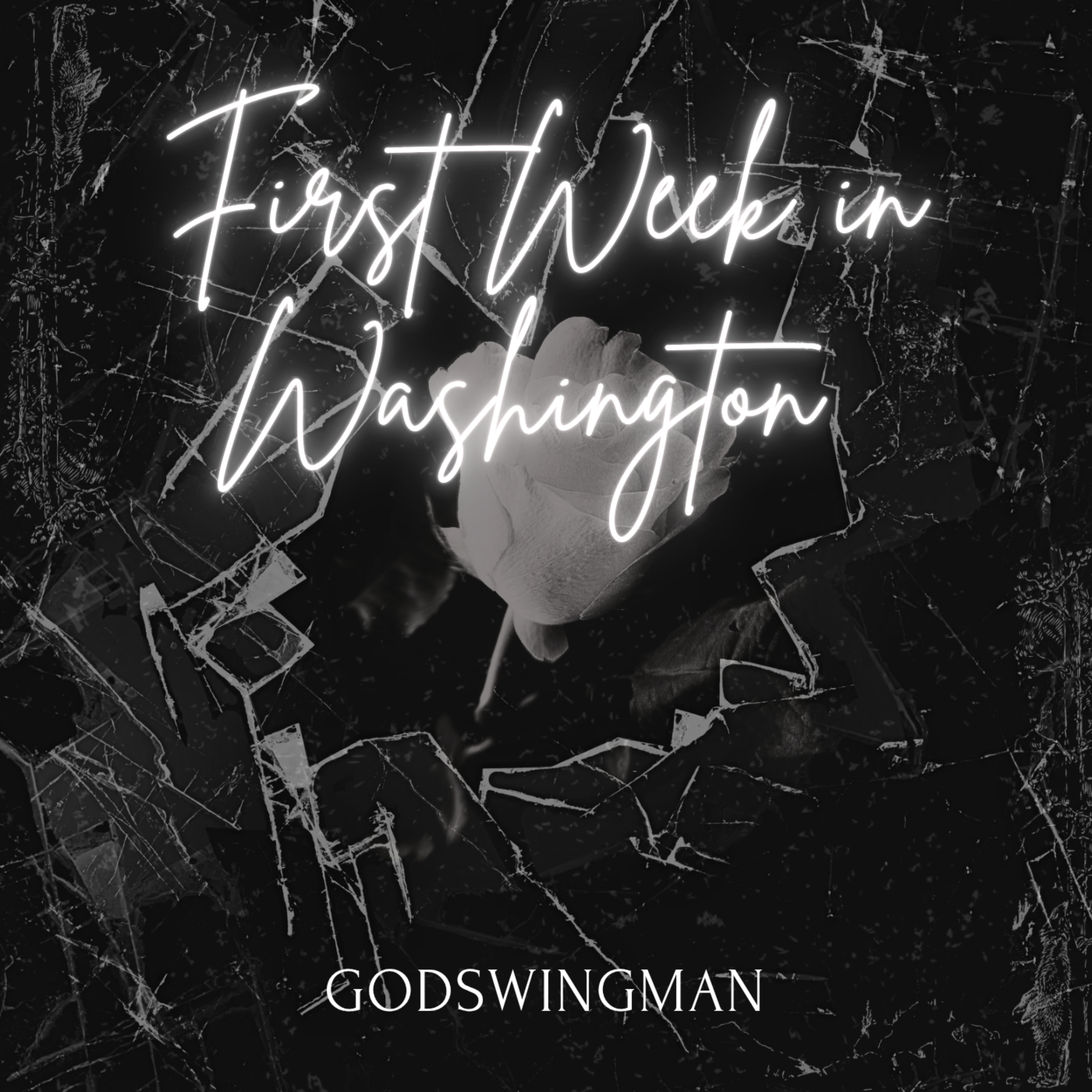 First week in Washington artwork