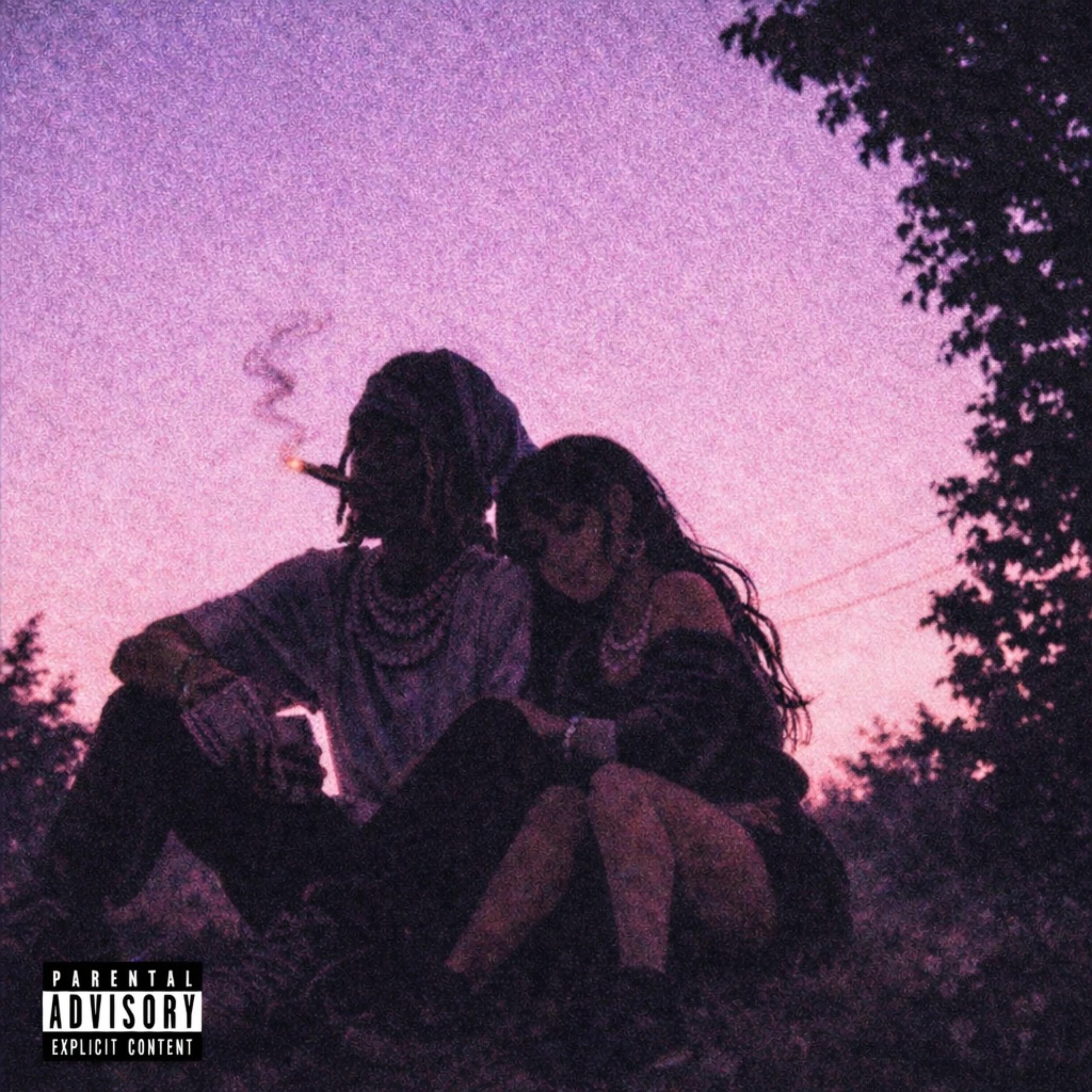 SONGS I DROPPED CAUSE I FELT LIKE IT (2026 VERSION) artwork