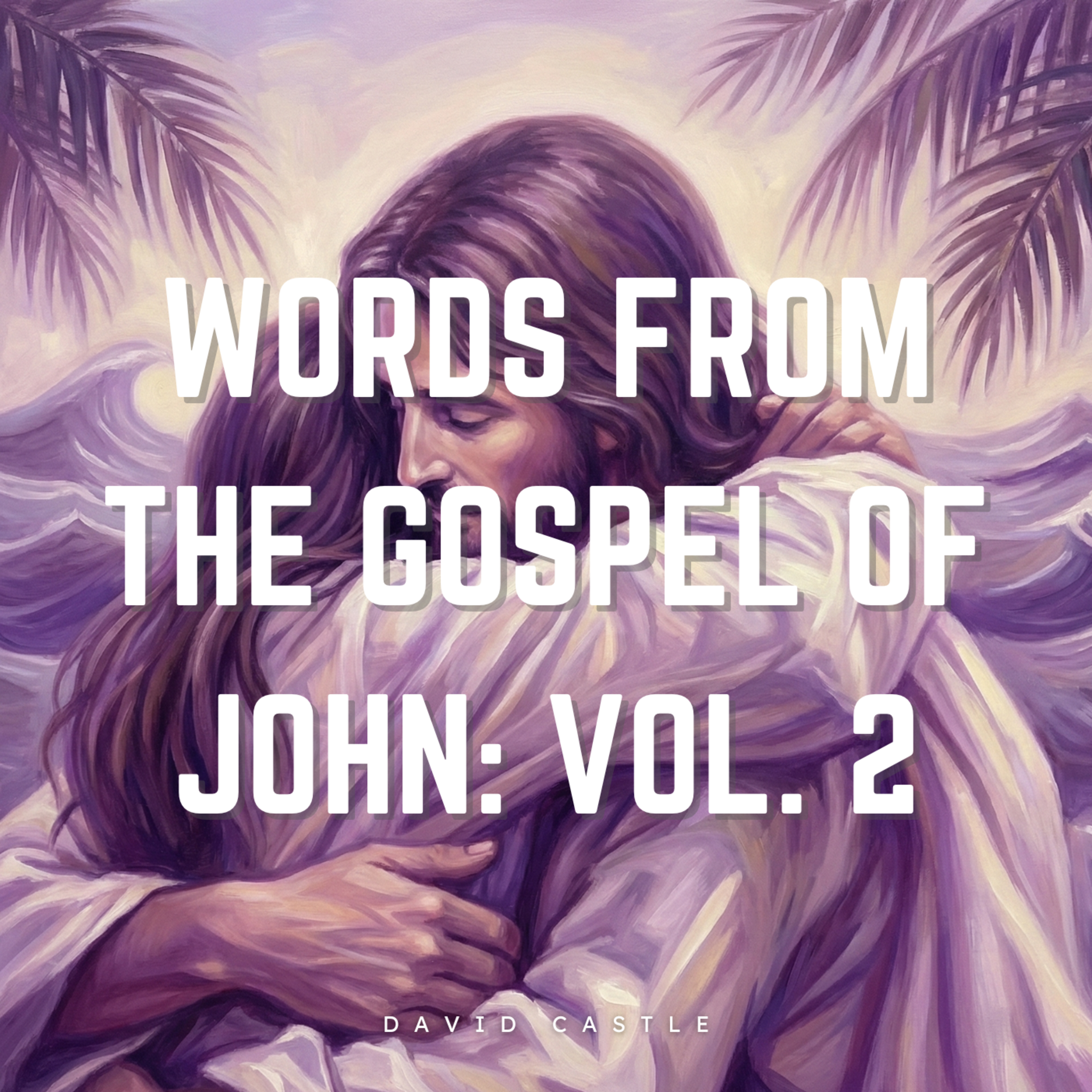 Words from the Gospel of John: Vol. 2 artwork