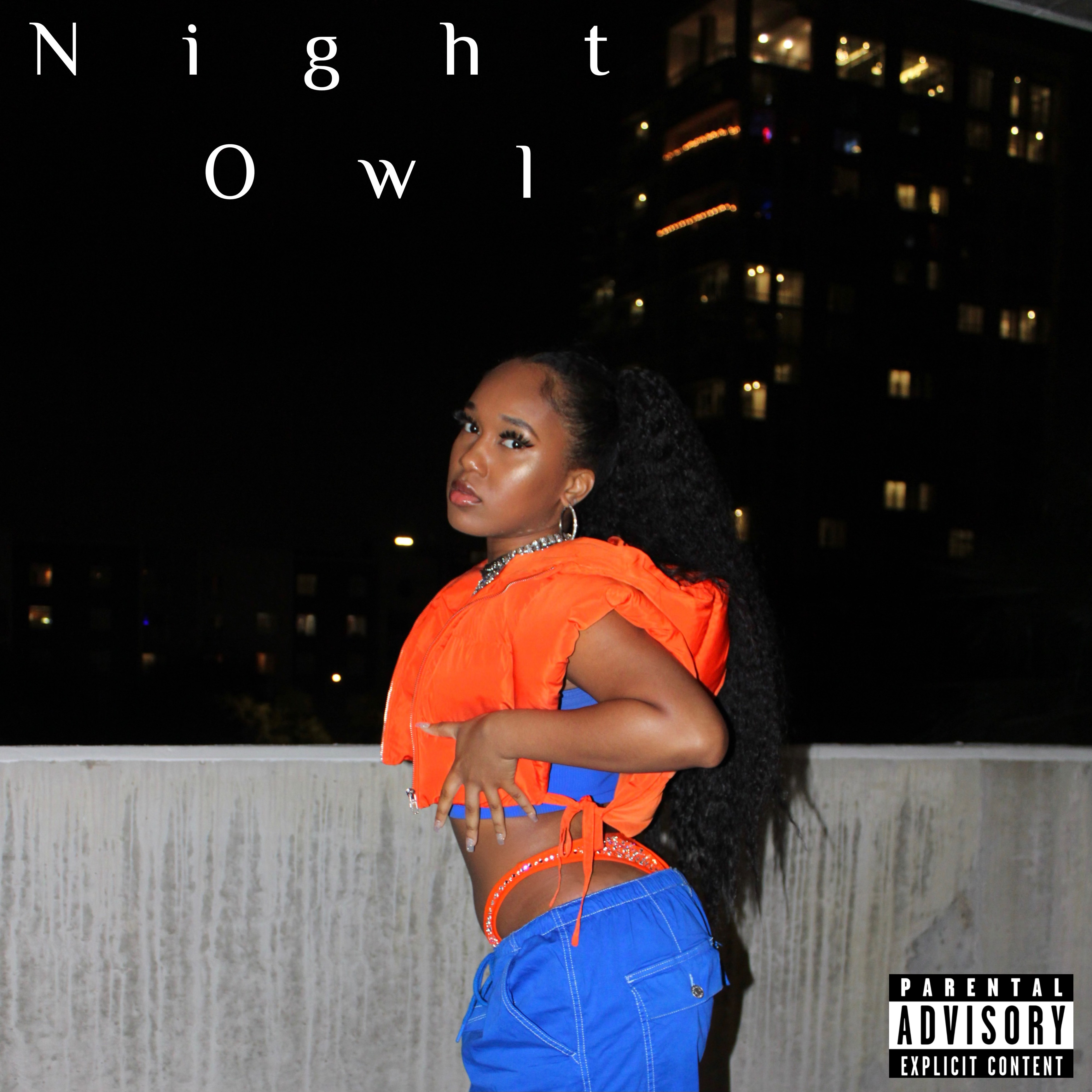 NIGHT OWL artwork