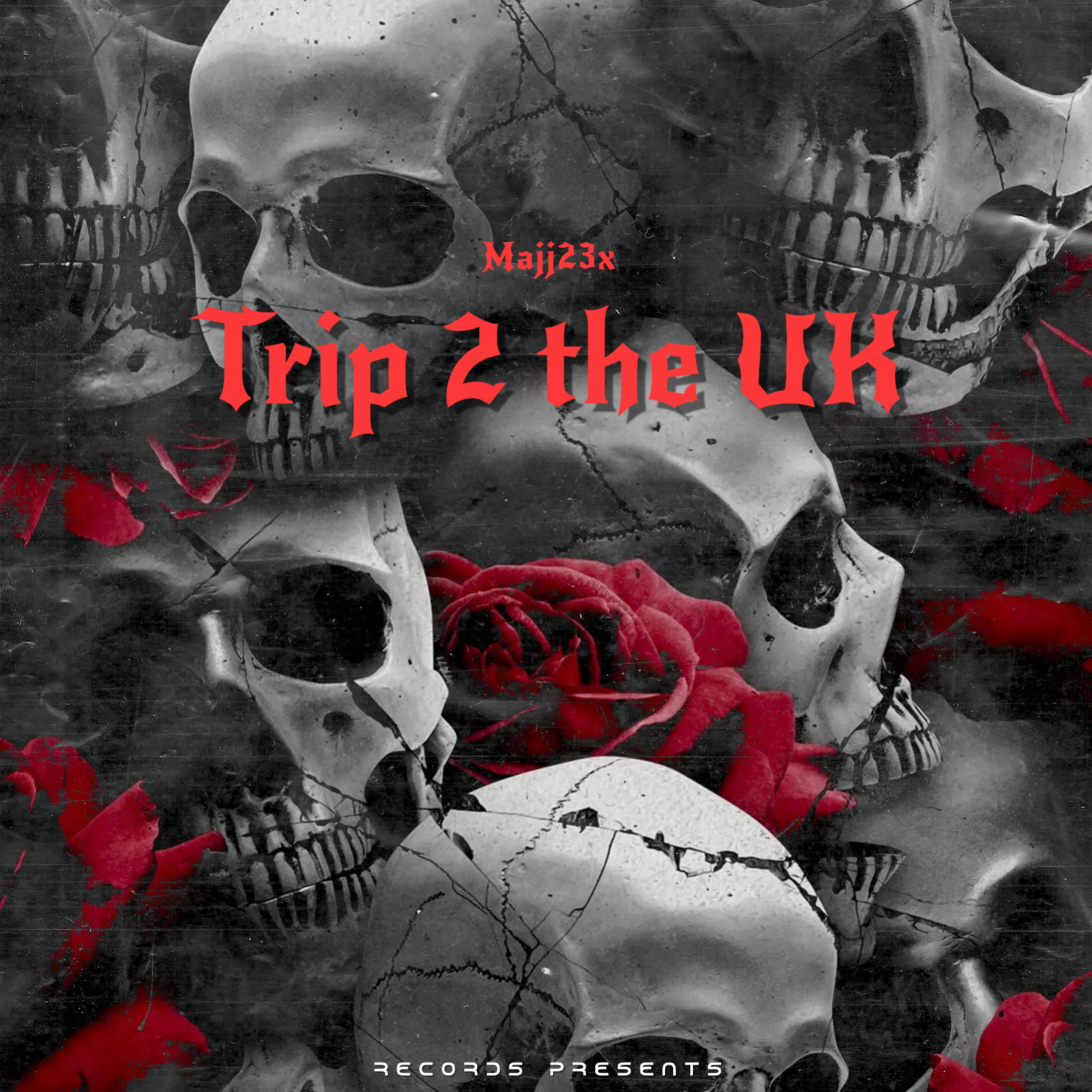Trip 2 the Uk artwork