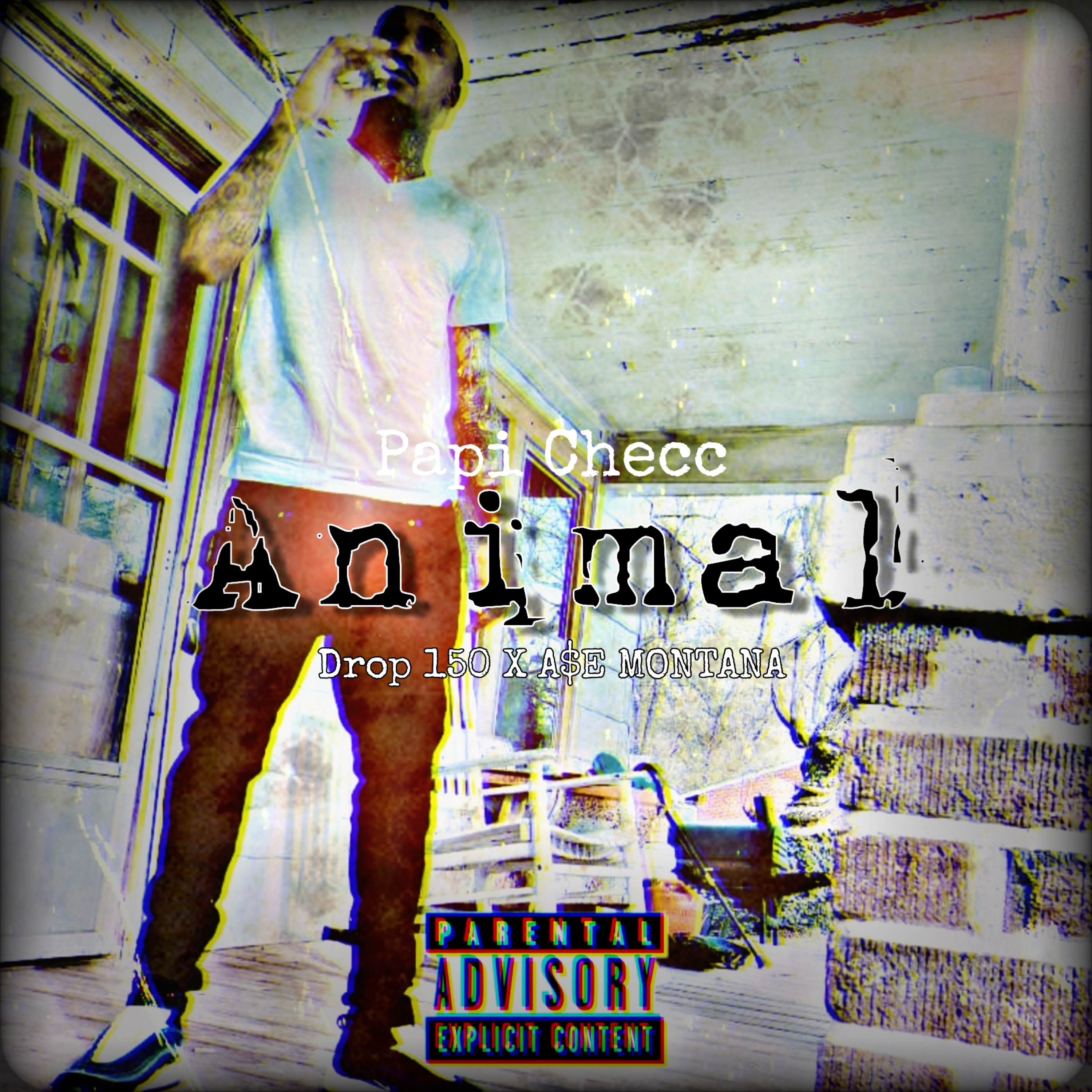 Animal artwork
