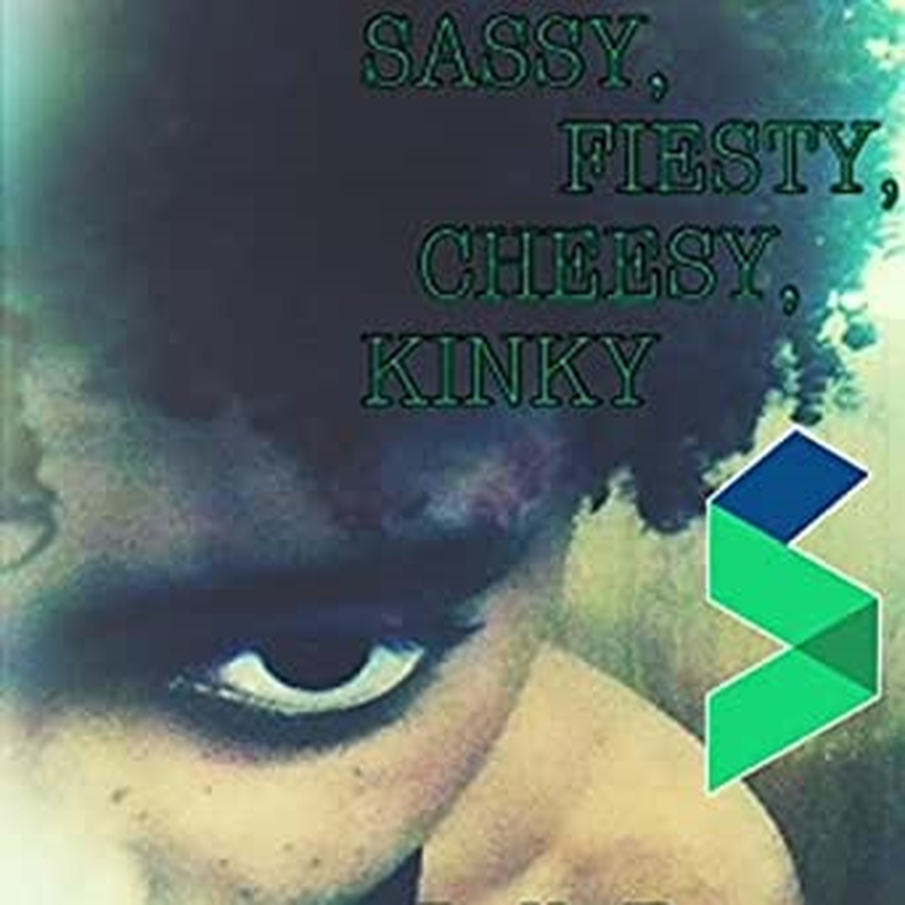 Sassy, Fiesty, Cheesy, Kinky artwork