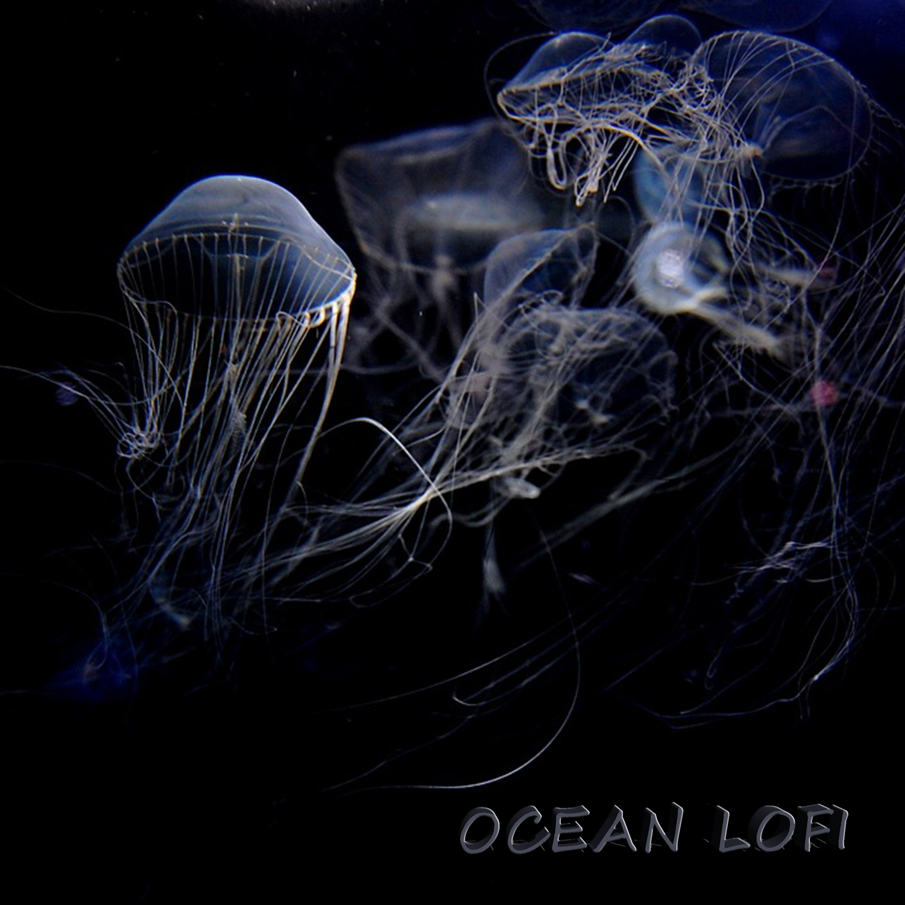 Ocean lofi by Eugenia Lofi cover art