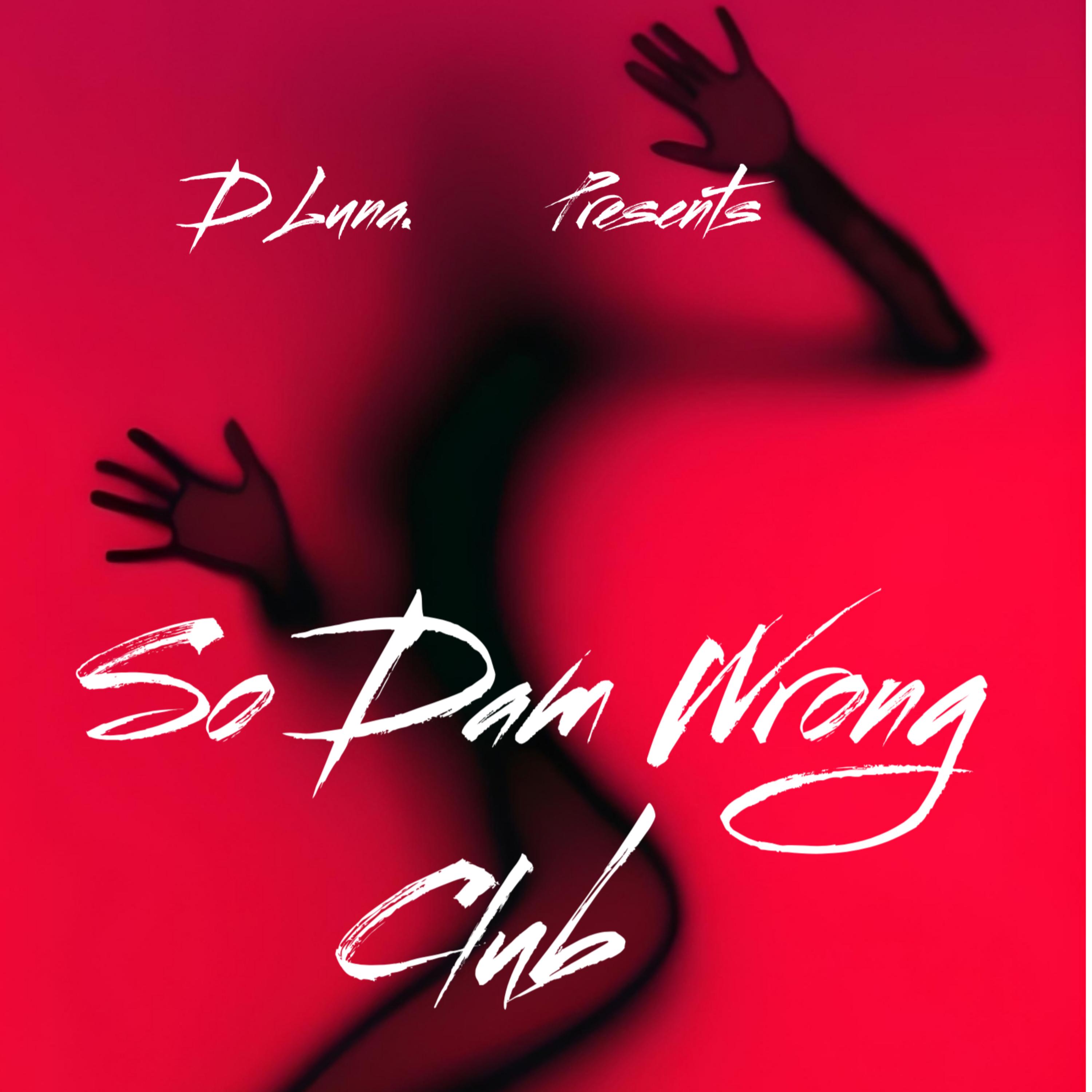 So Dam Wrong artwork
