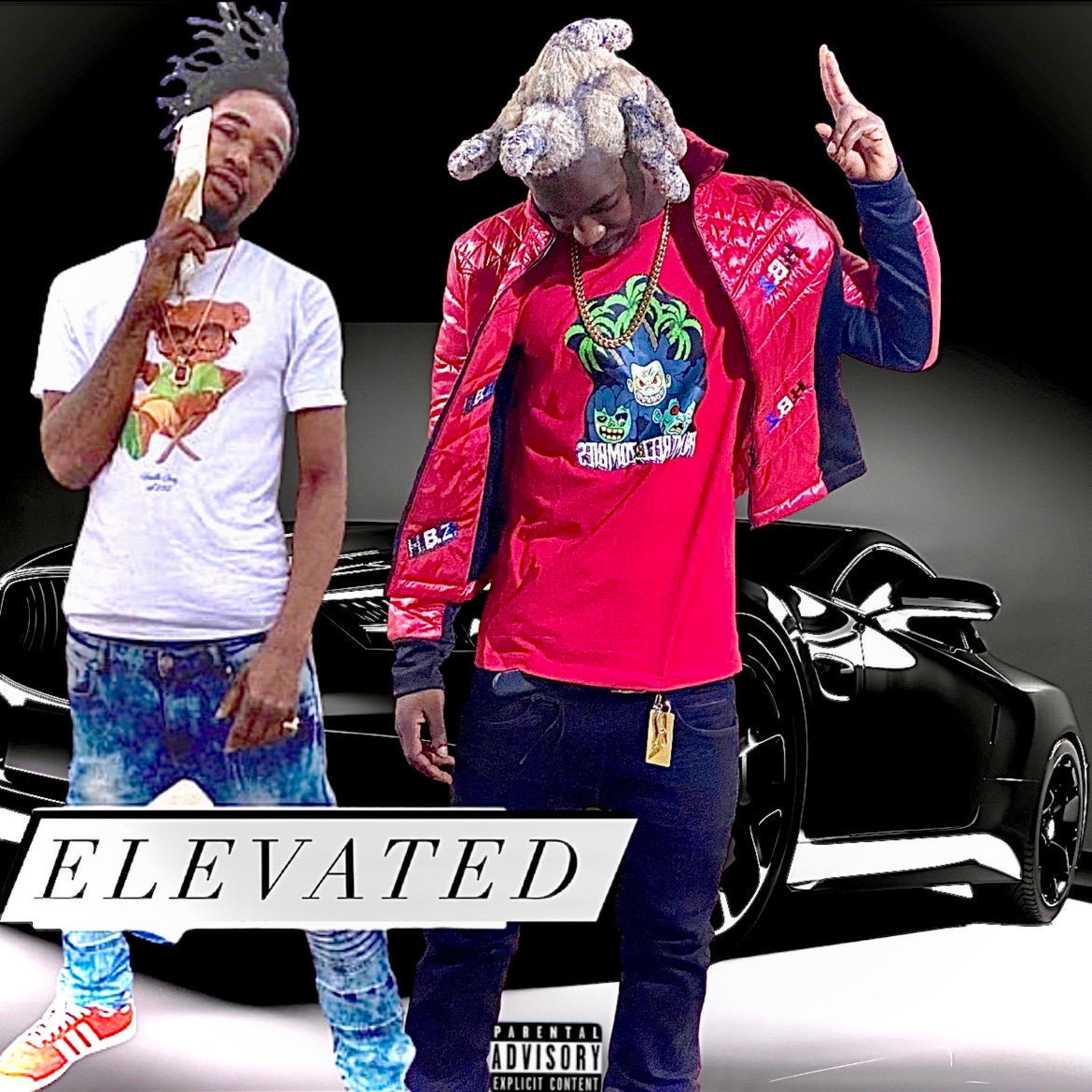 Elevated artwork
