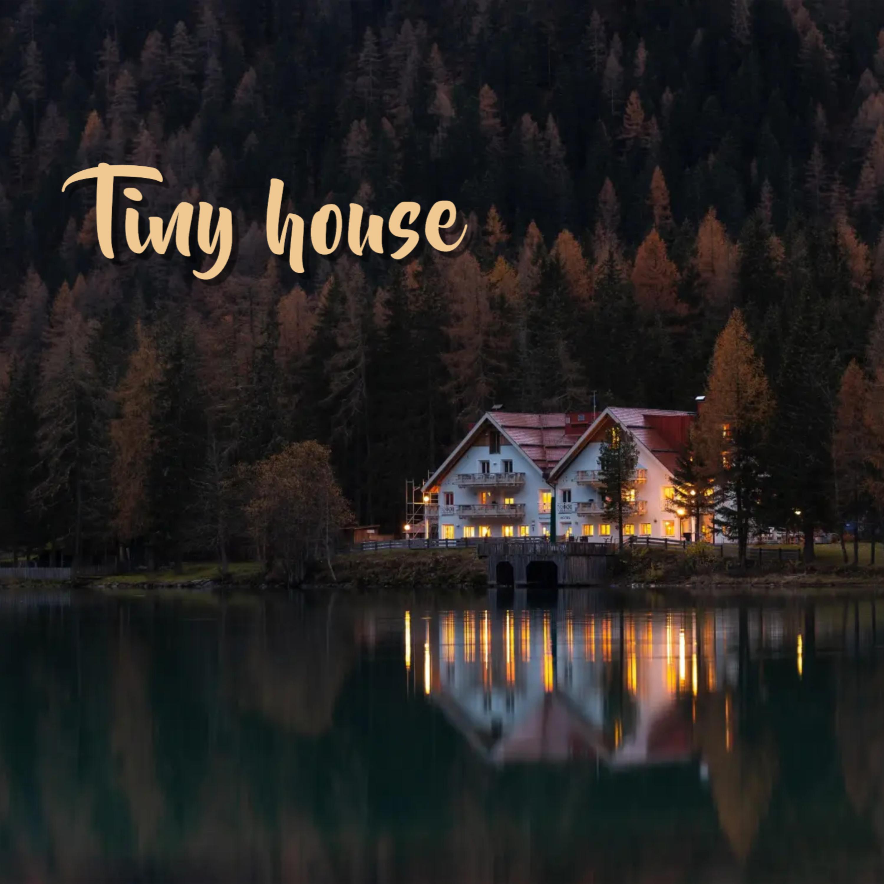 Tiny House artwork
