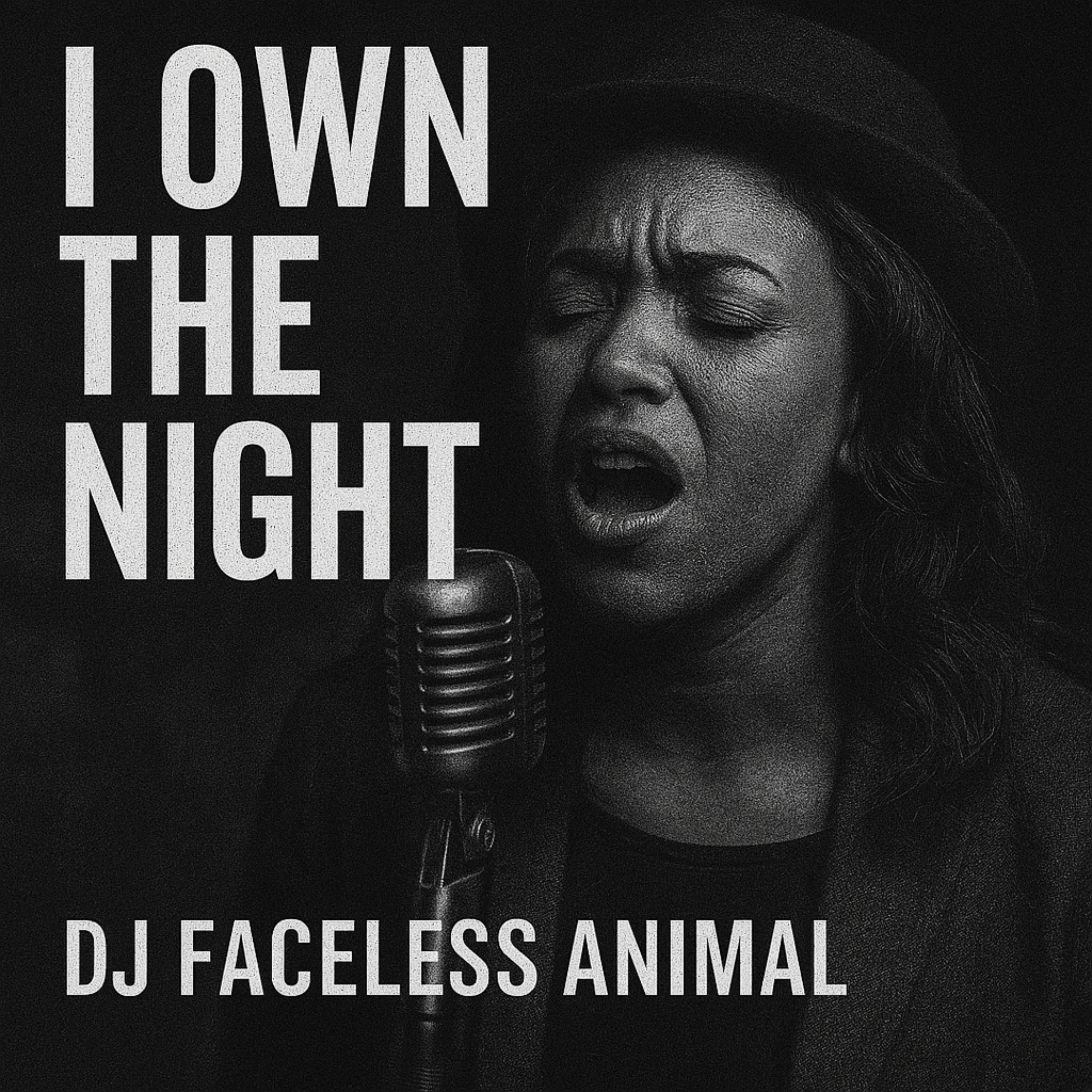 I Own The Night artwork