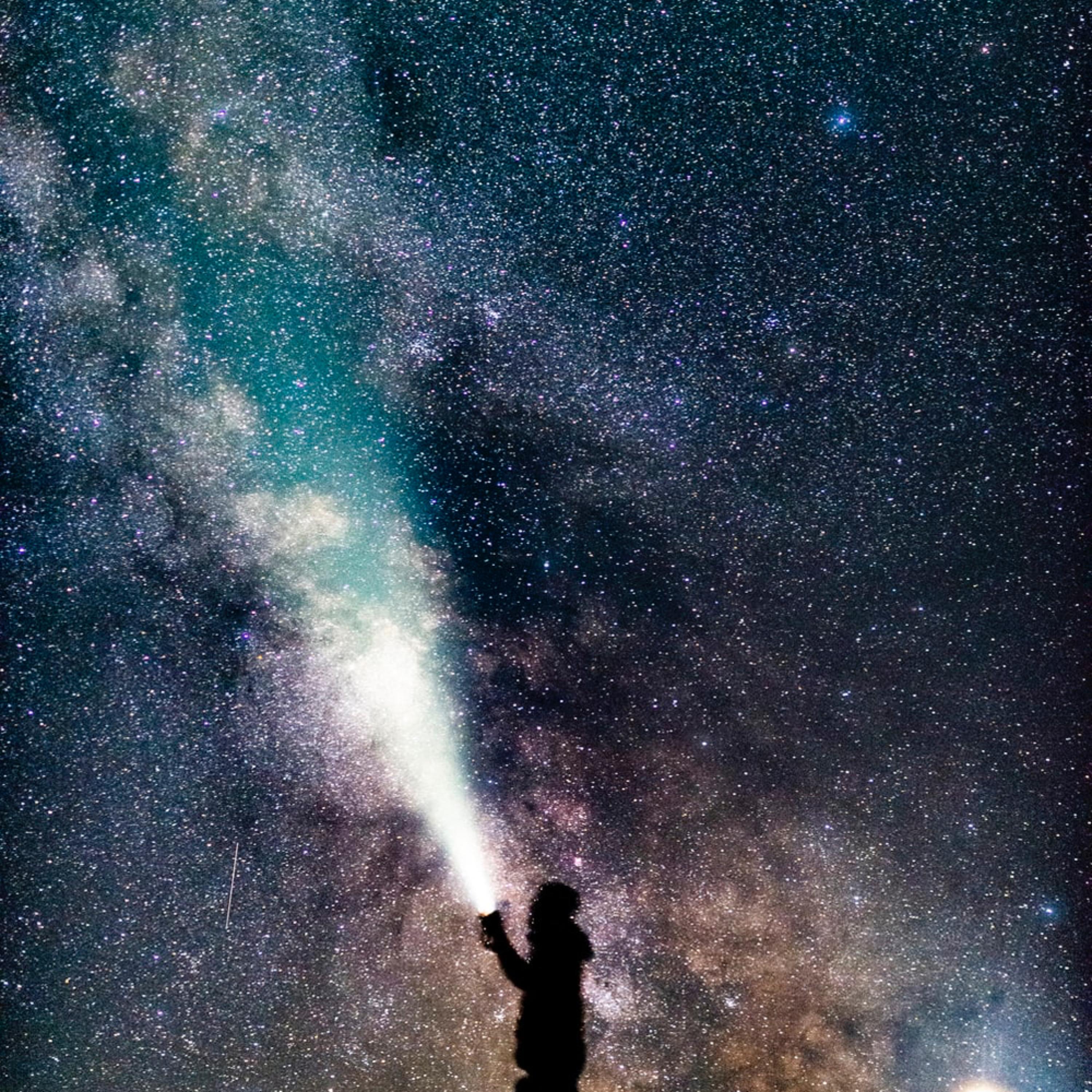 AllAlone artwork