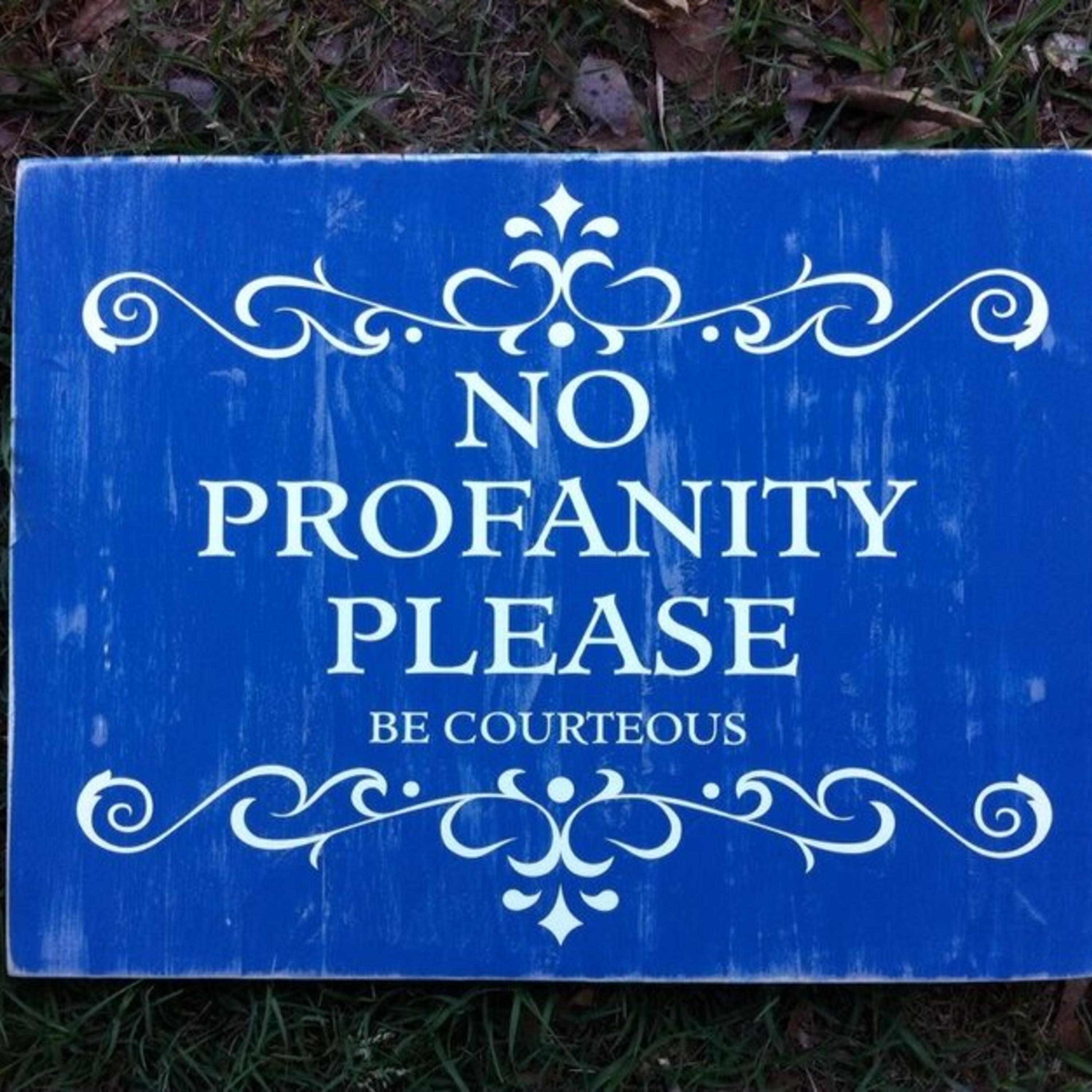 No Profanity artwork