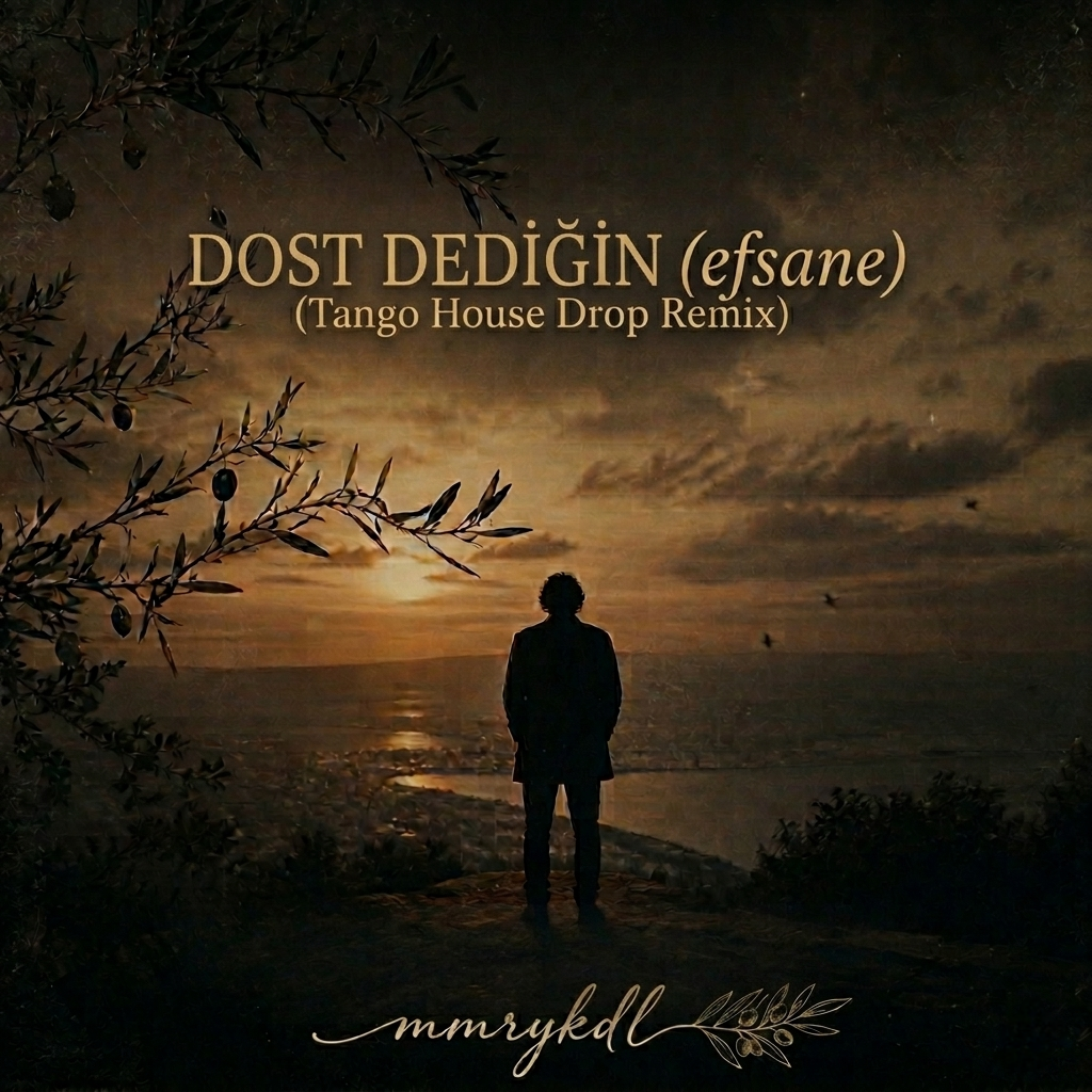 DOST DEDİĞİN (efsane Tango House Drop Remix) artwork