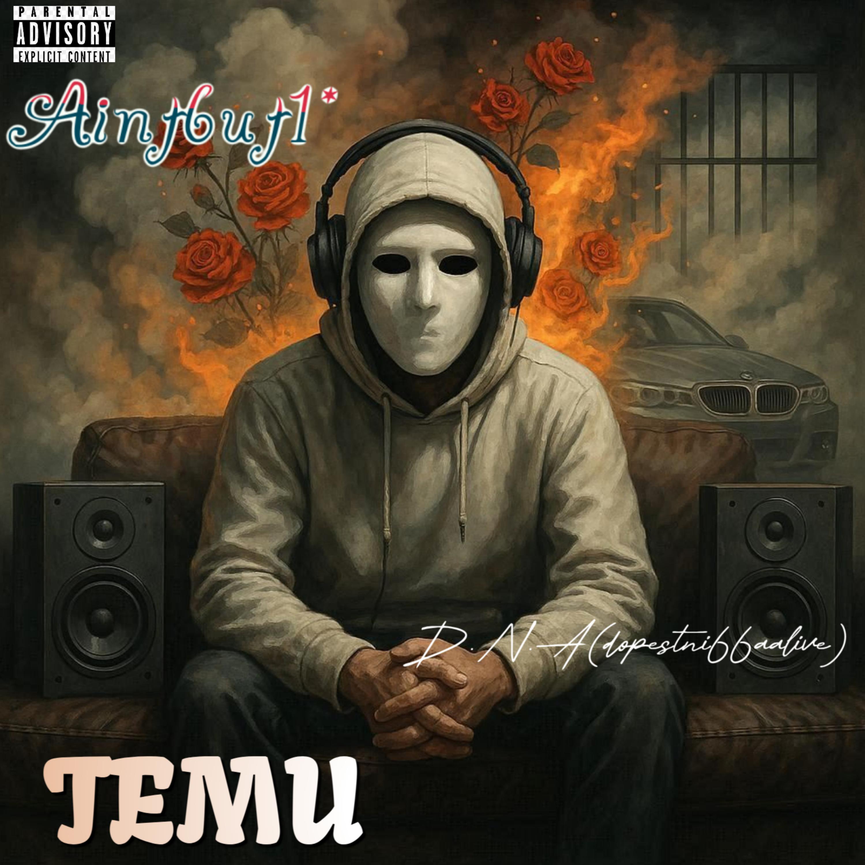 TEMU artwork