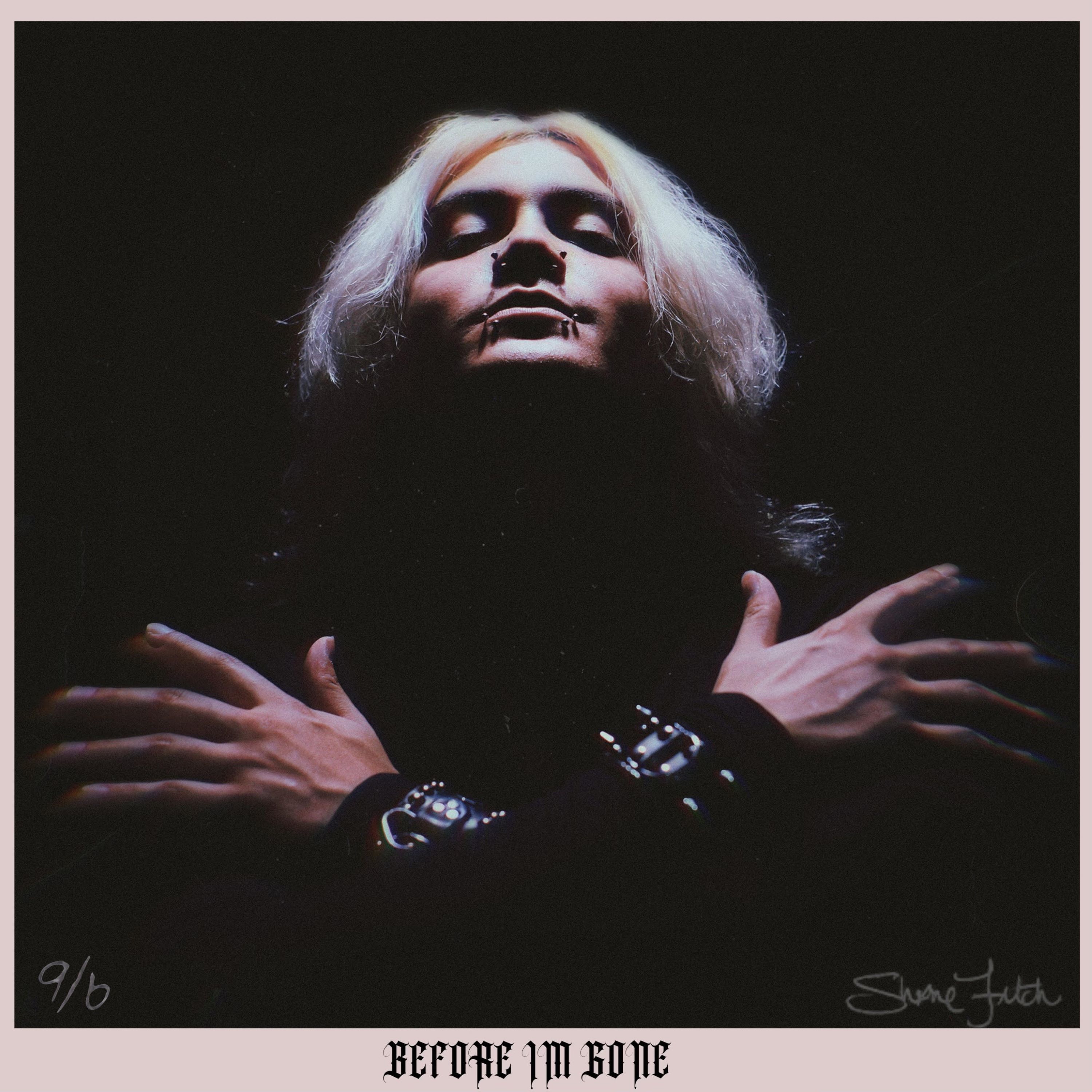 Before I'm Gone artwork