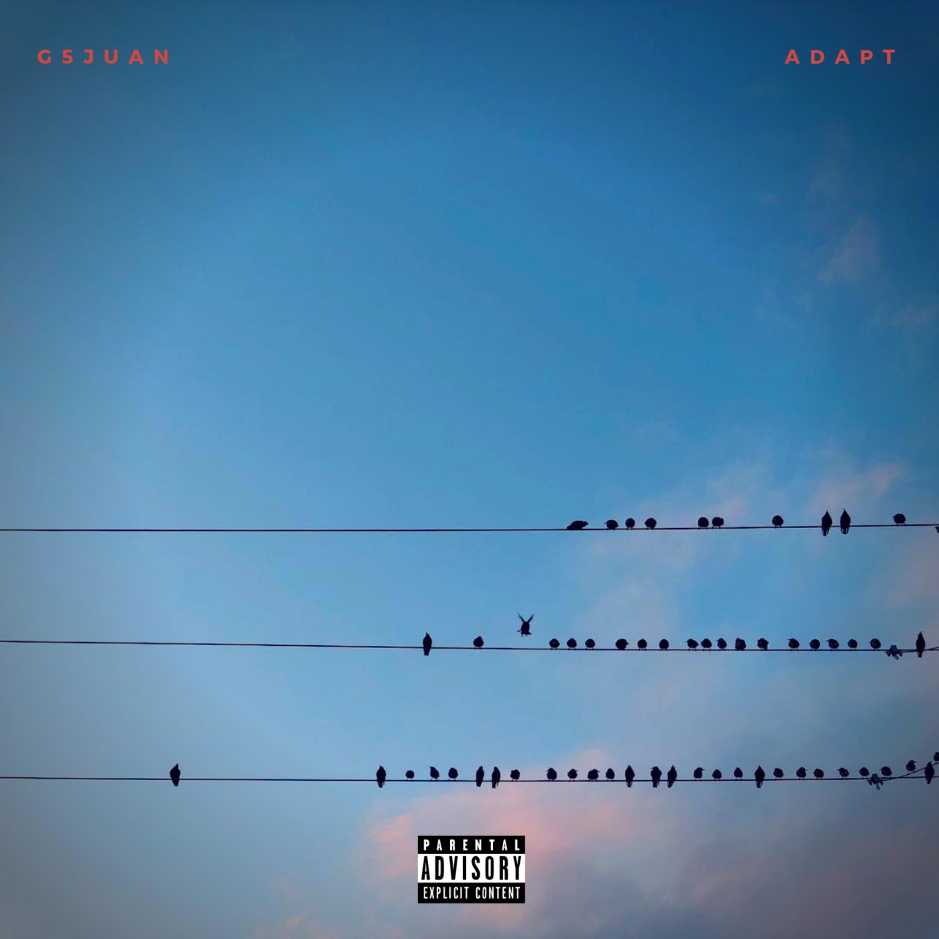 Adapt artwork