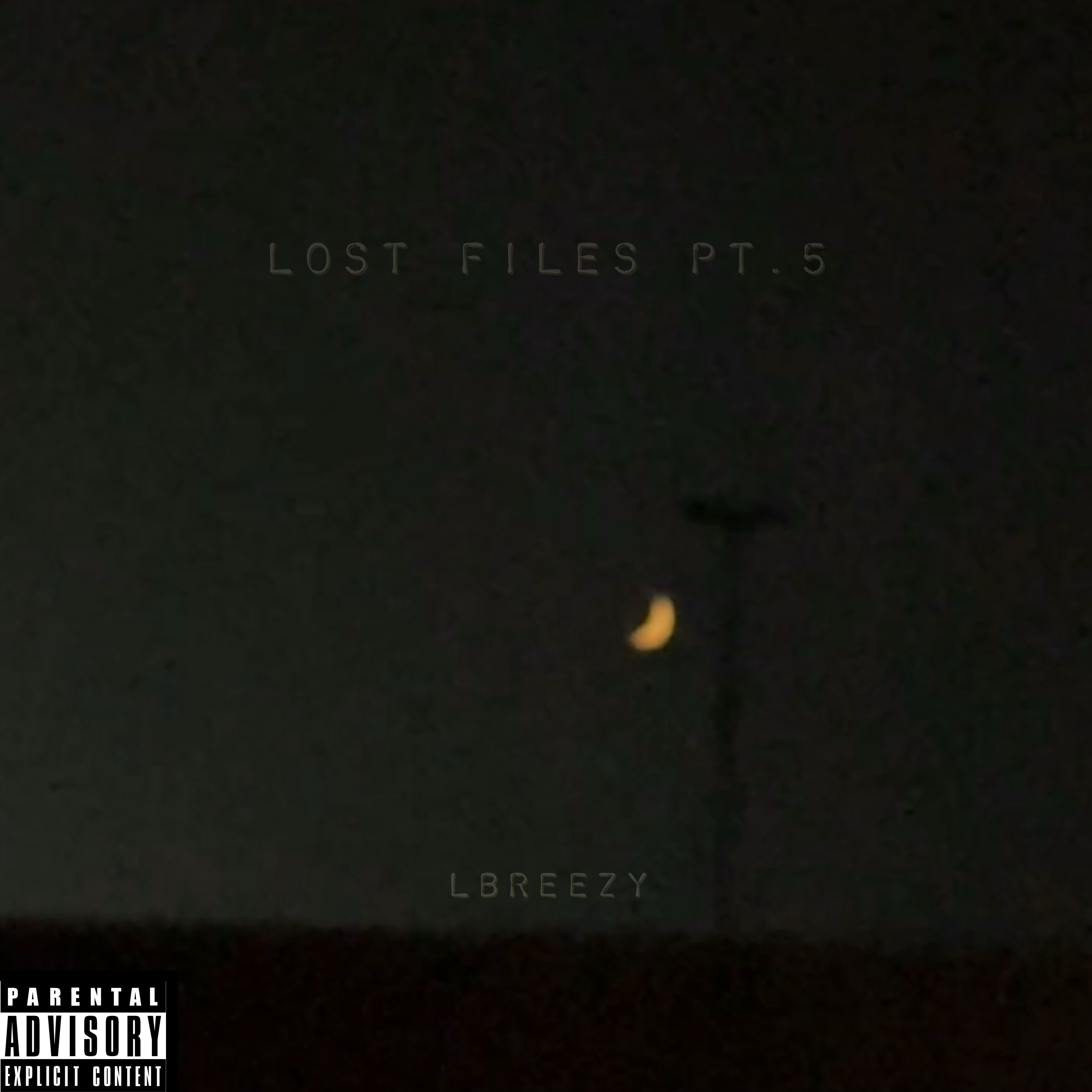 LOST FILES PT. 5 artwork