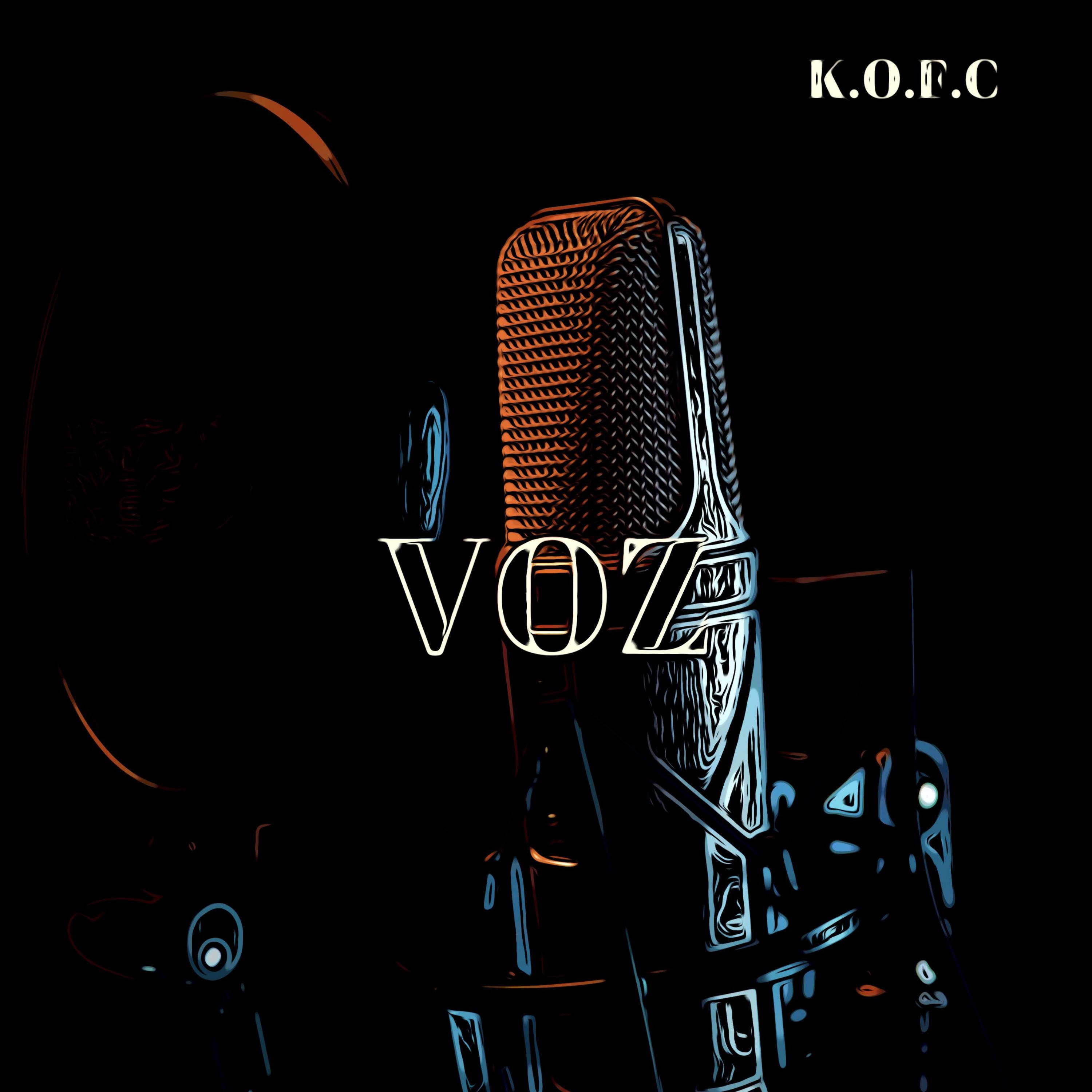VOZ artwork