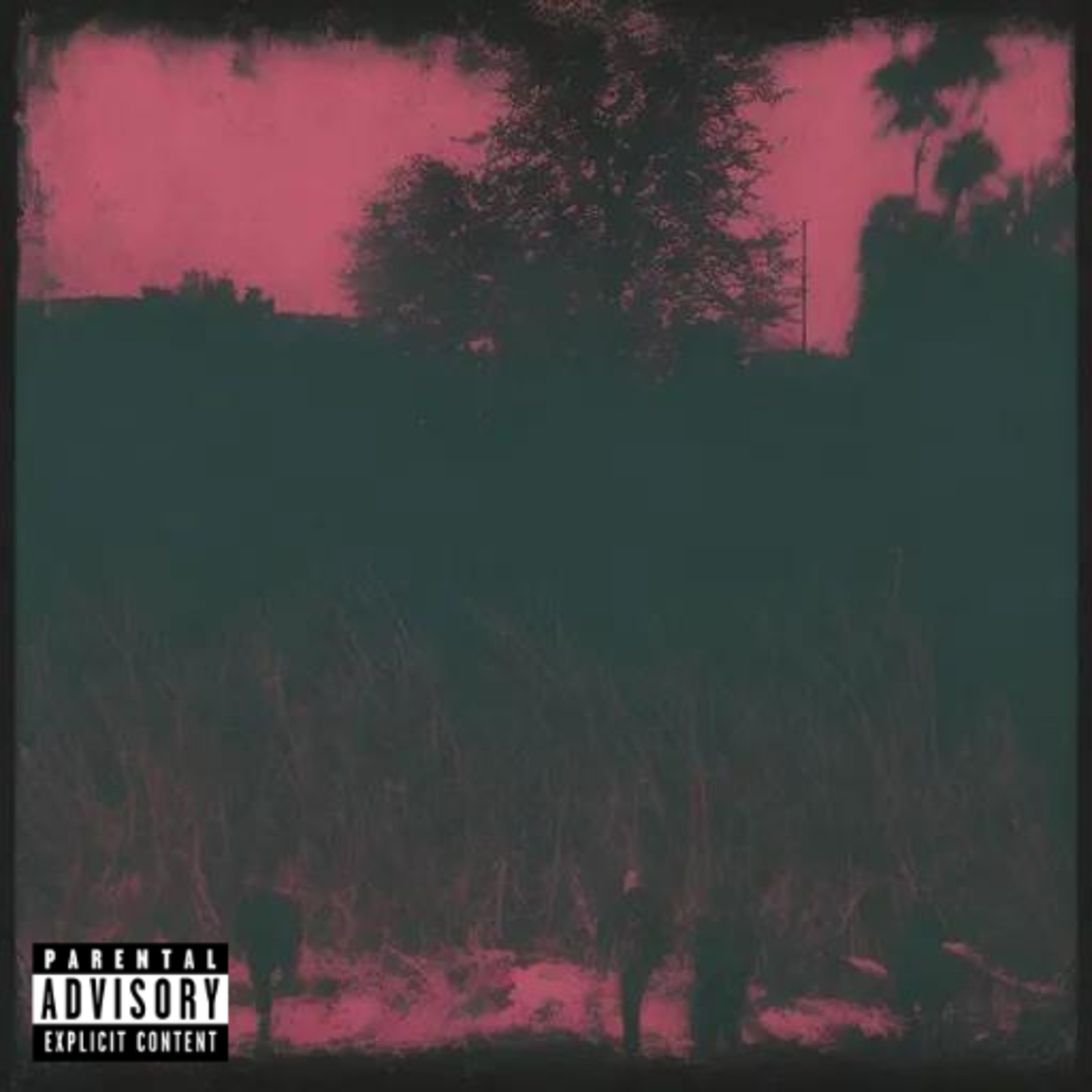 PINK PUNK artwork